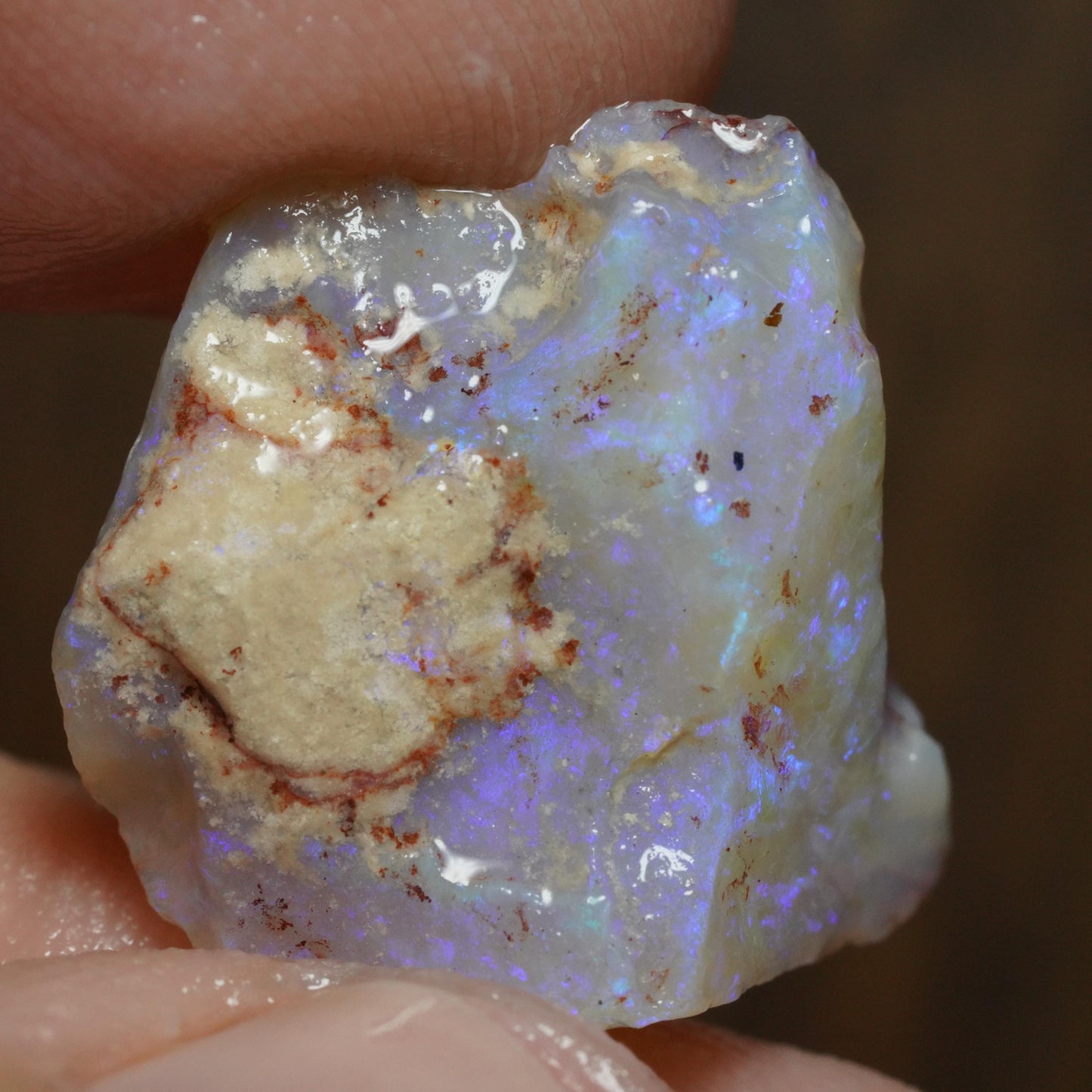 Australian Rough Opal