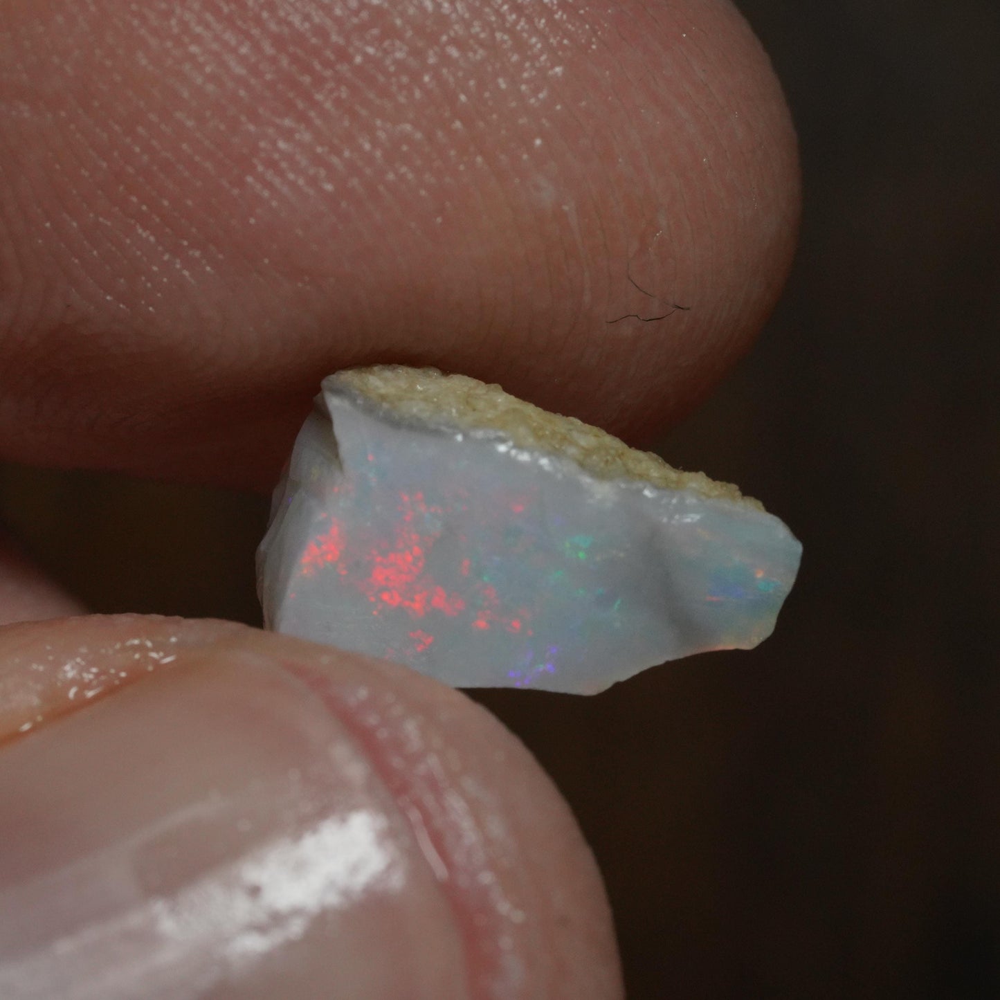 Australian Rough Opal