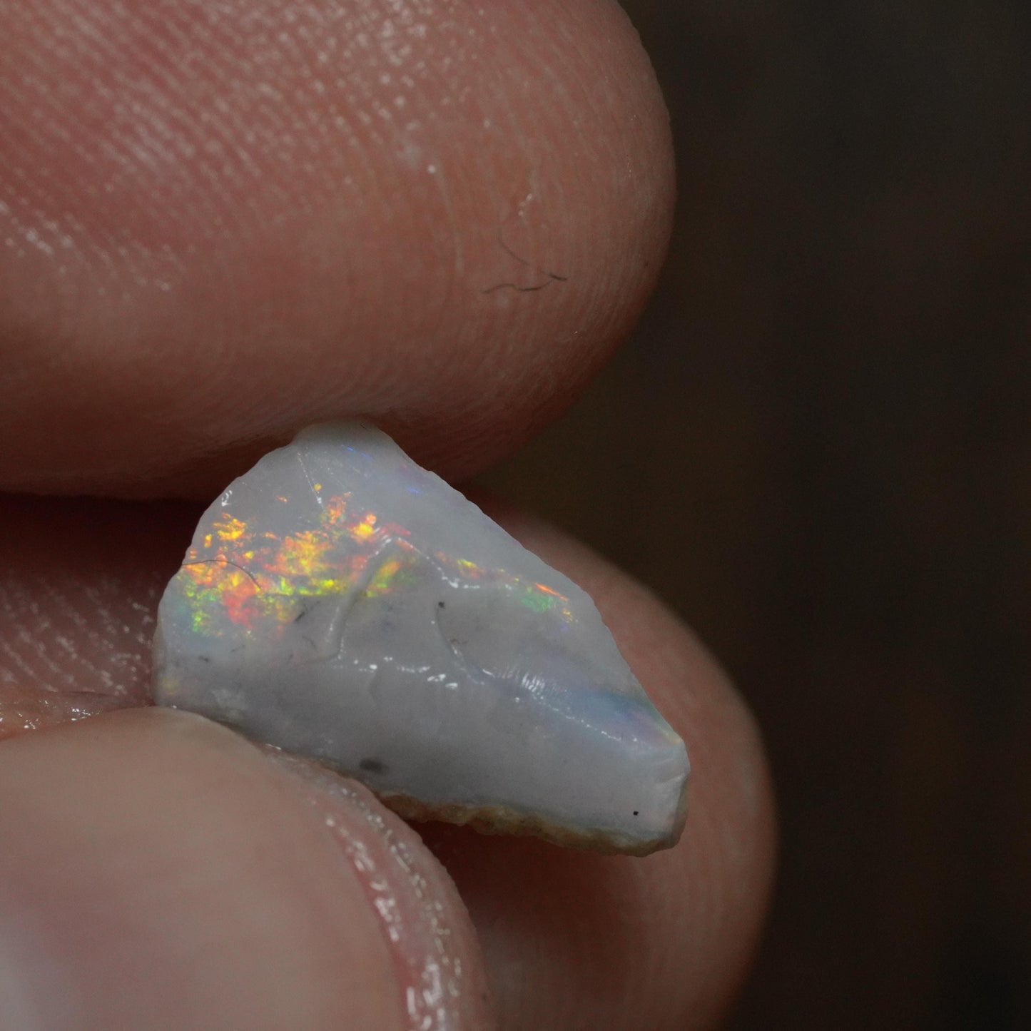 Australian Rough Opal