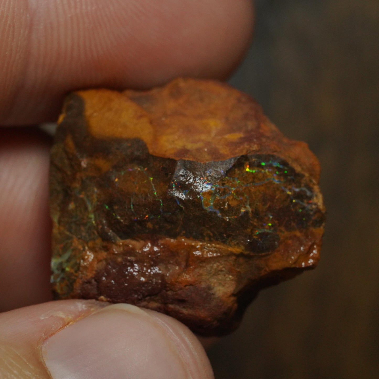 Boulder Opal