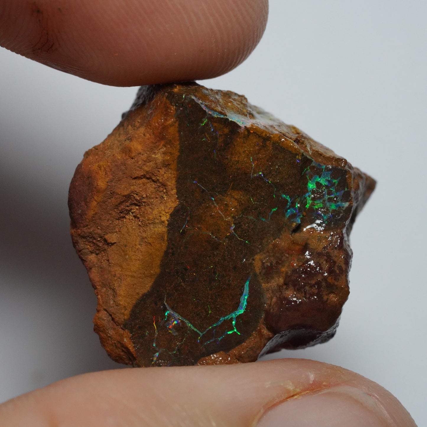 Boulder Opal