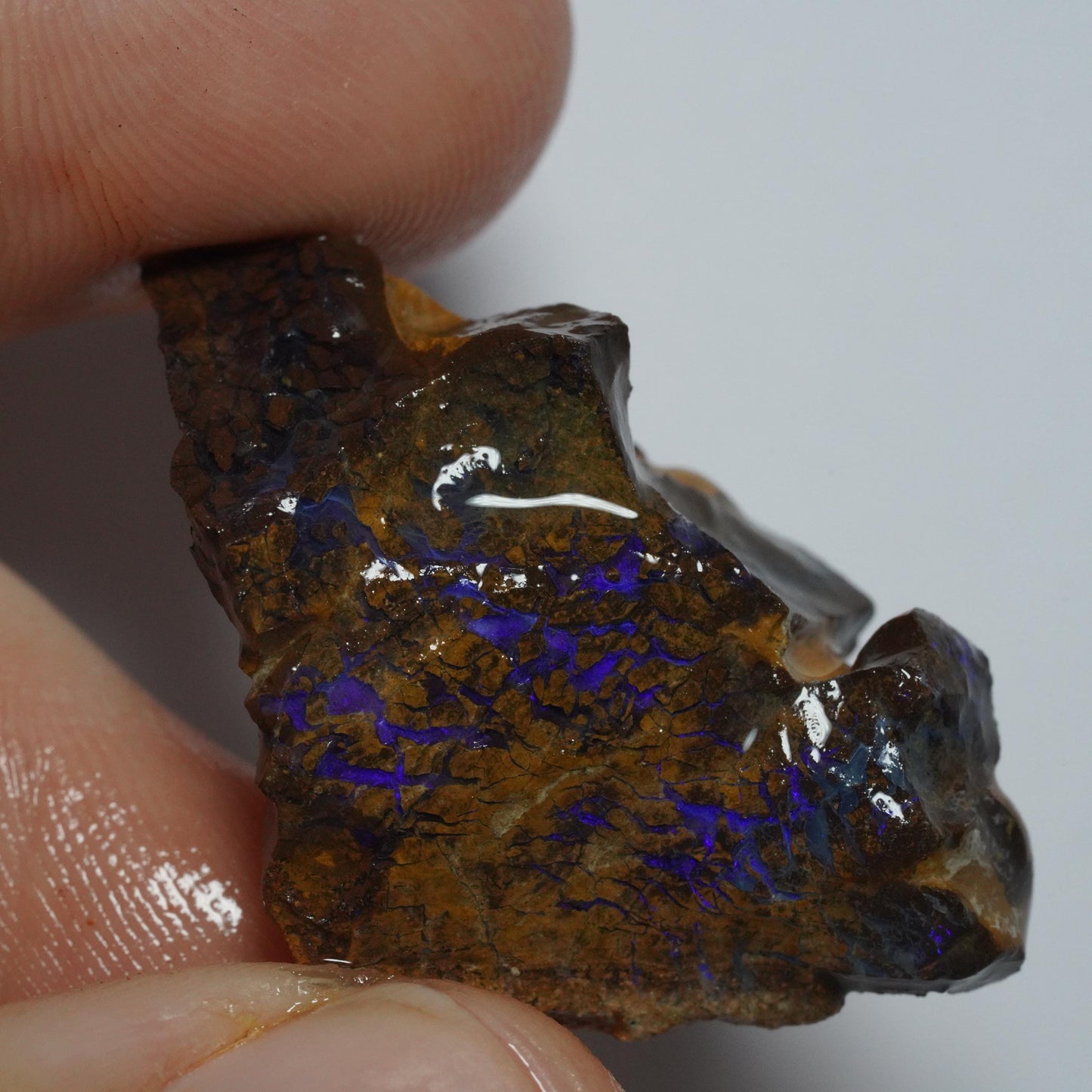 Boulder Opal