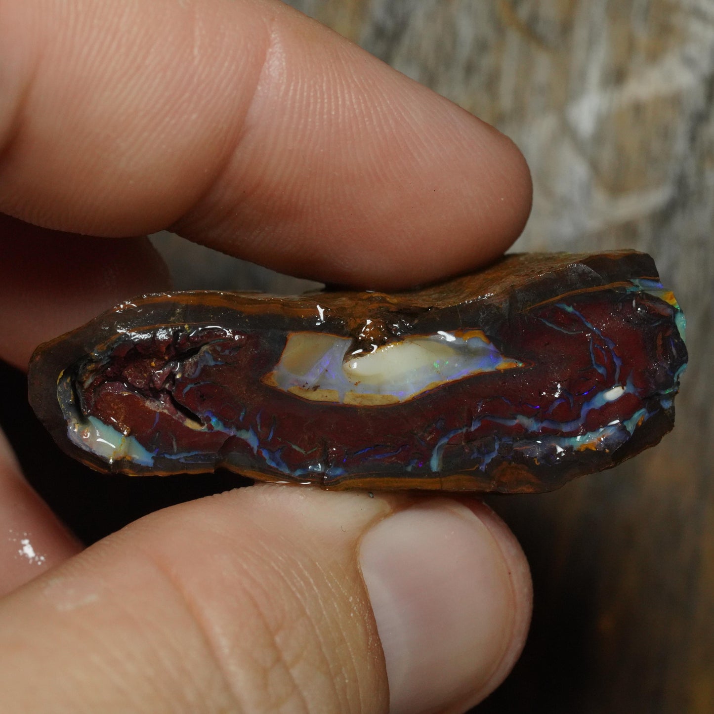 Boulder Opal
