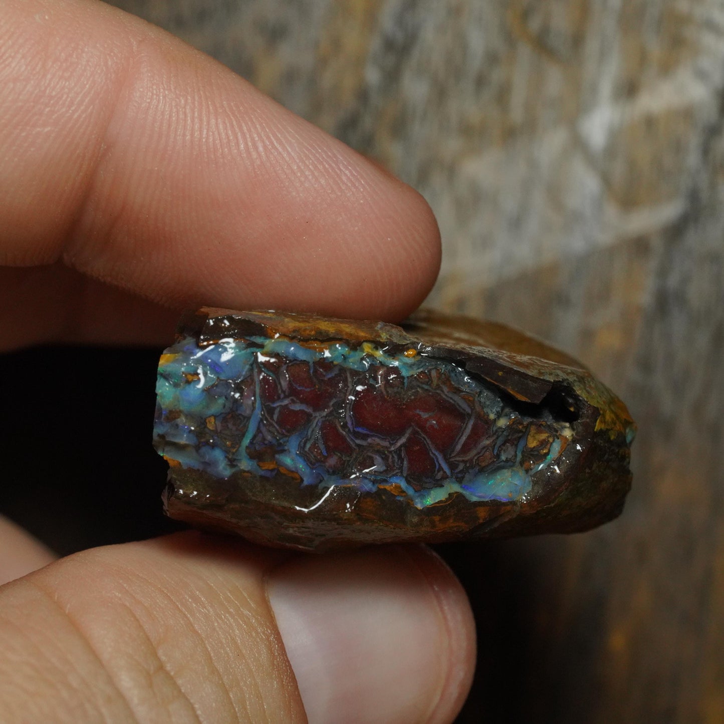 Boulder Opal