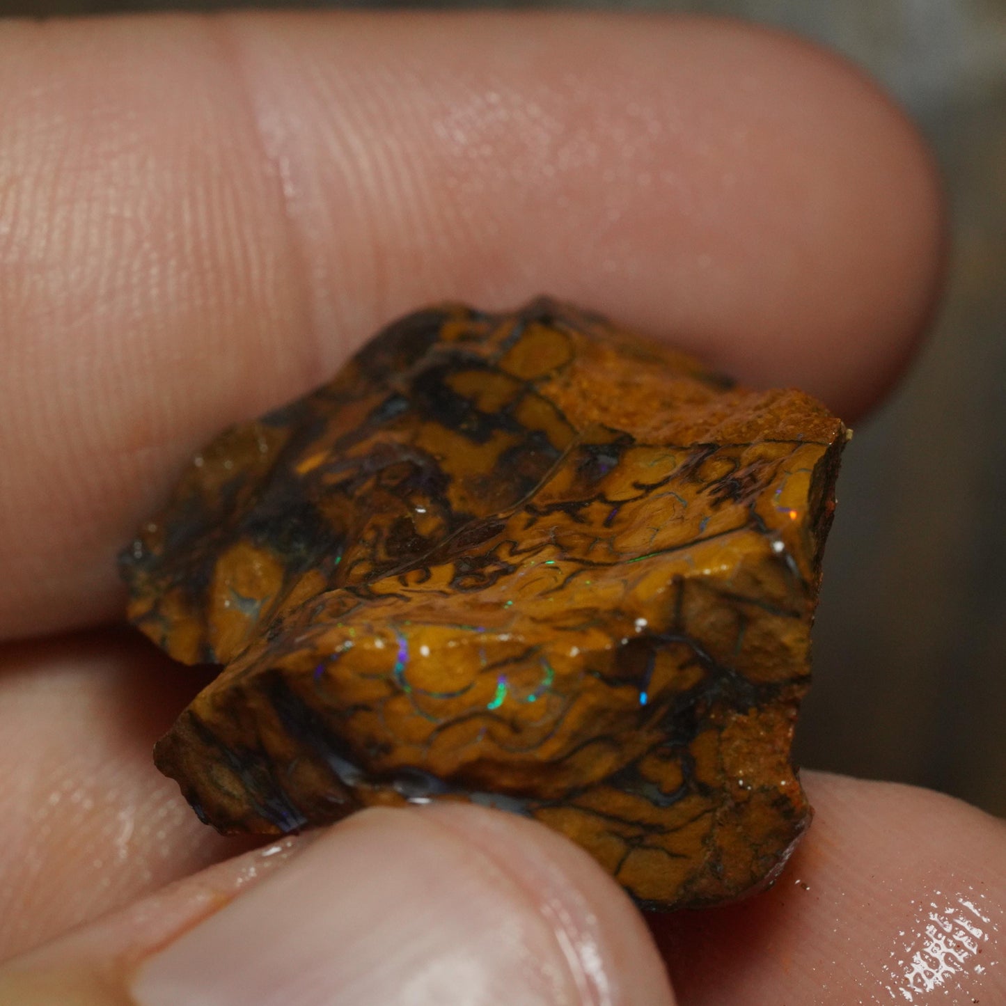 Boulder Opal