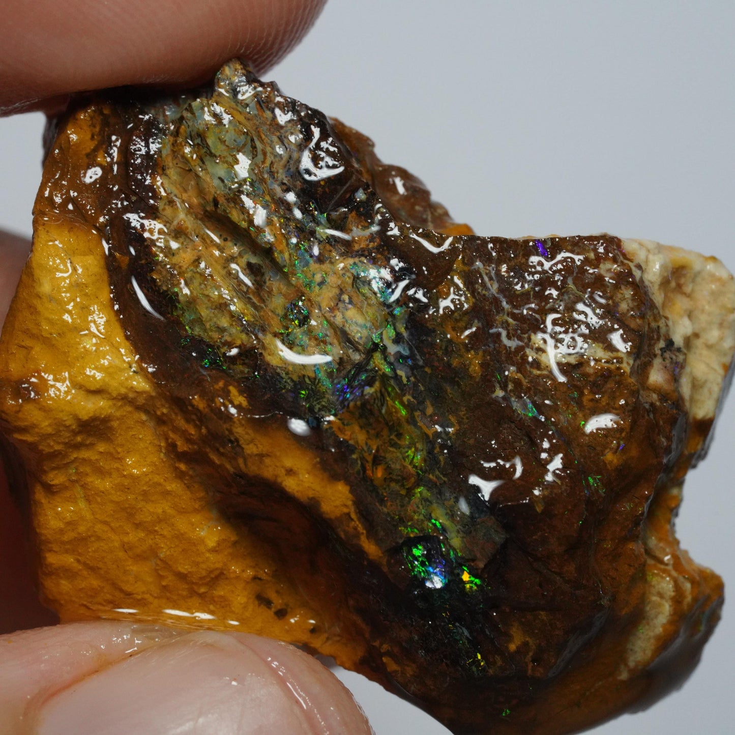 Boulder Opal
