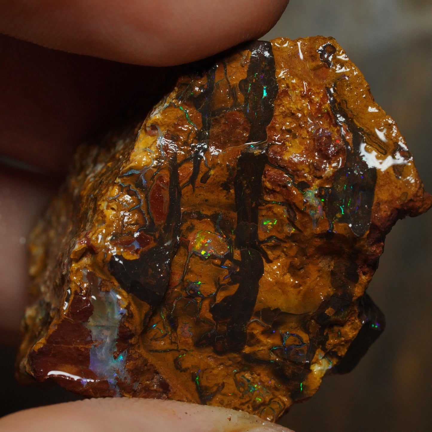 Boulder Opal