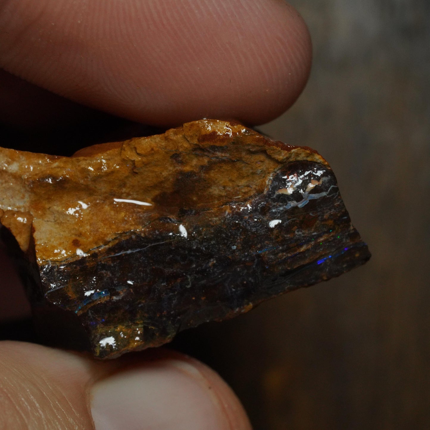 Boulder Opal