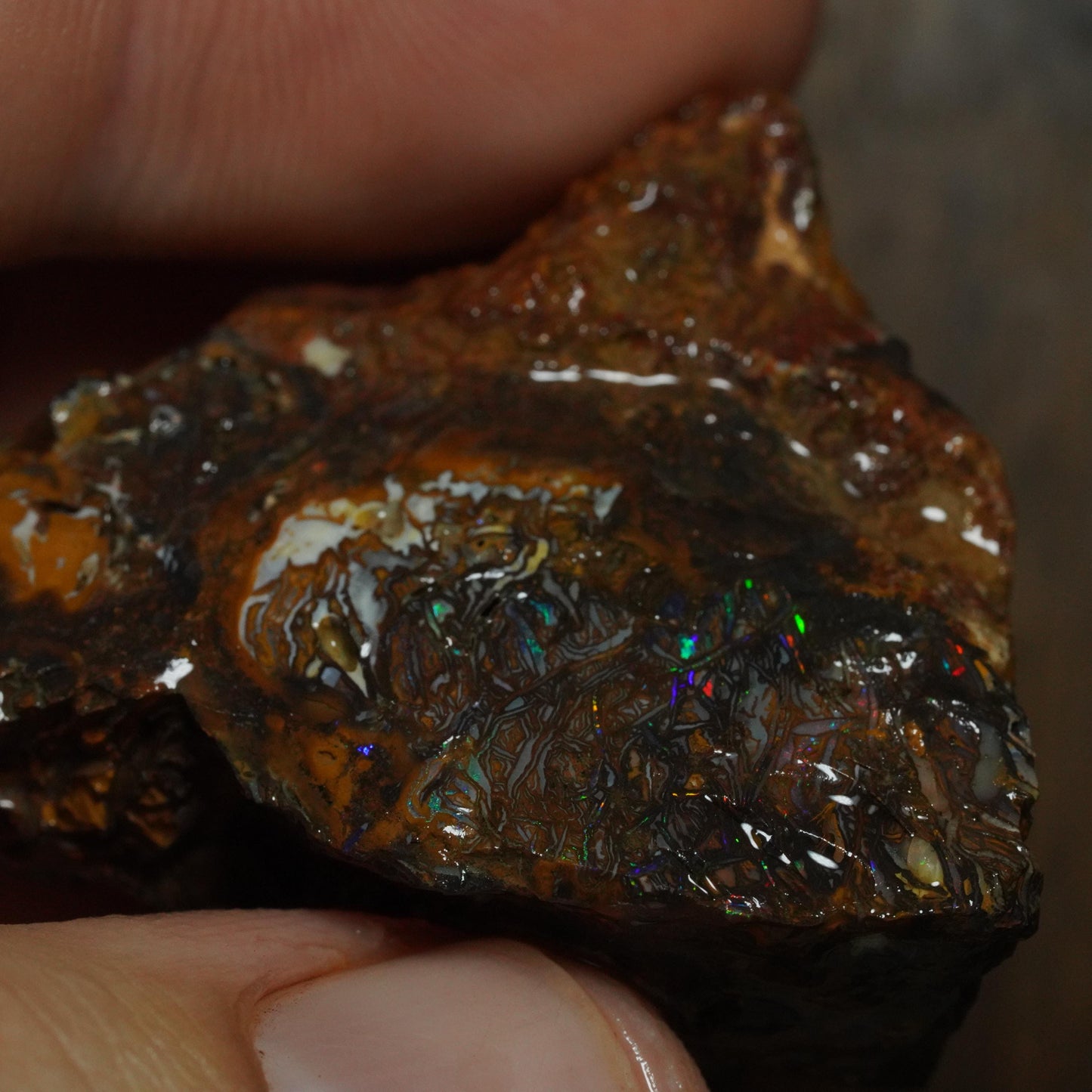 Boulder Opal