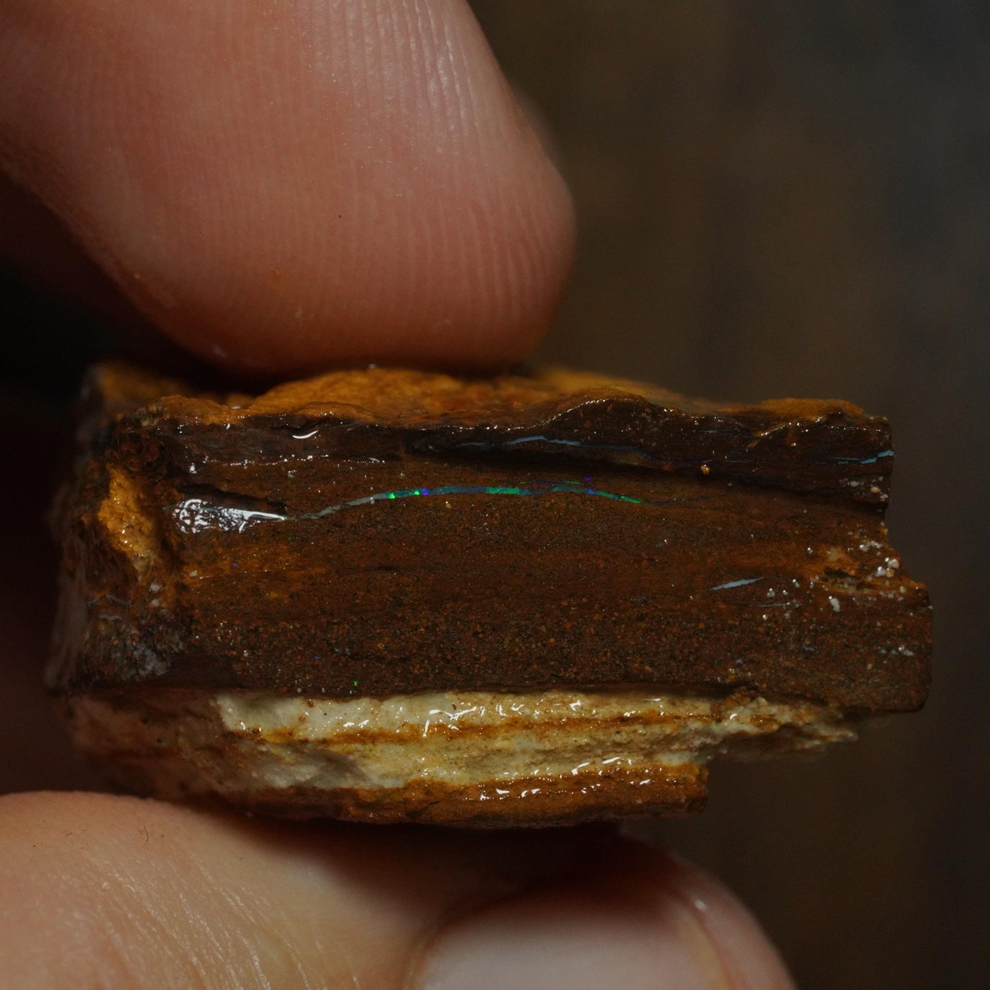 Boulder Opal