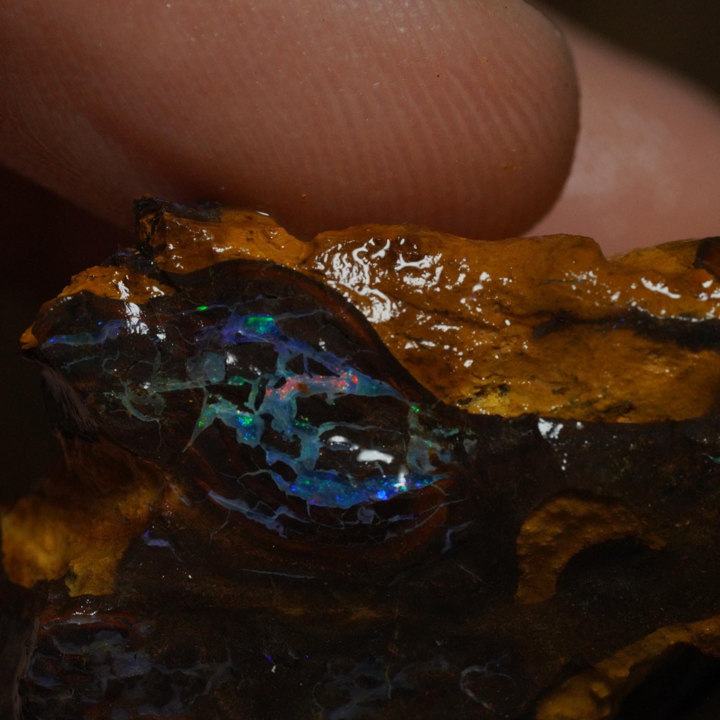Boulder Opal
