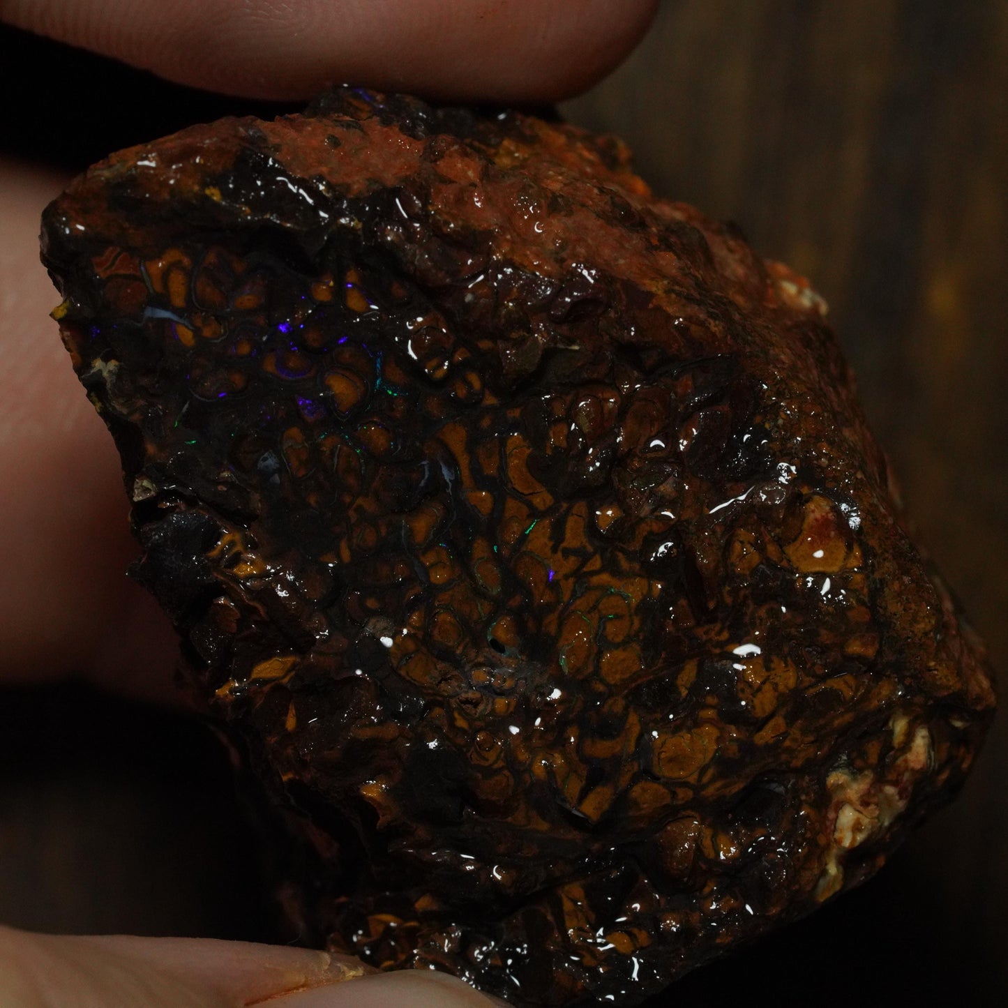 Boulder Opal