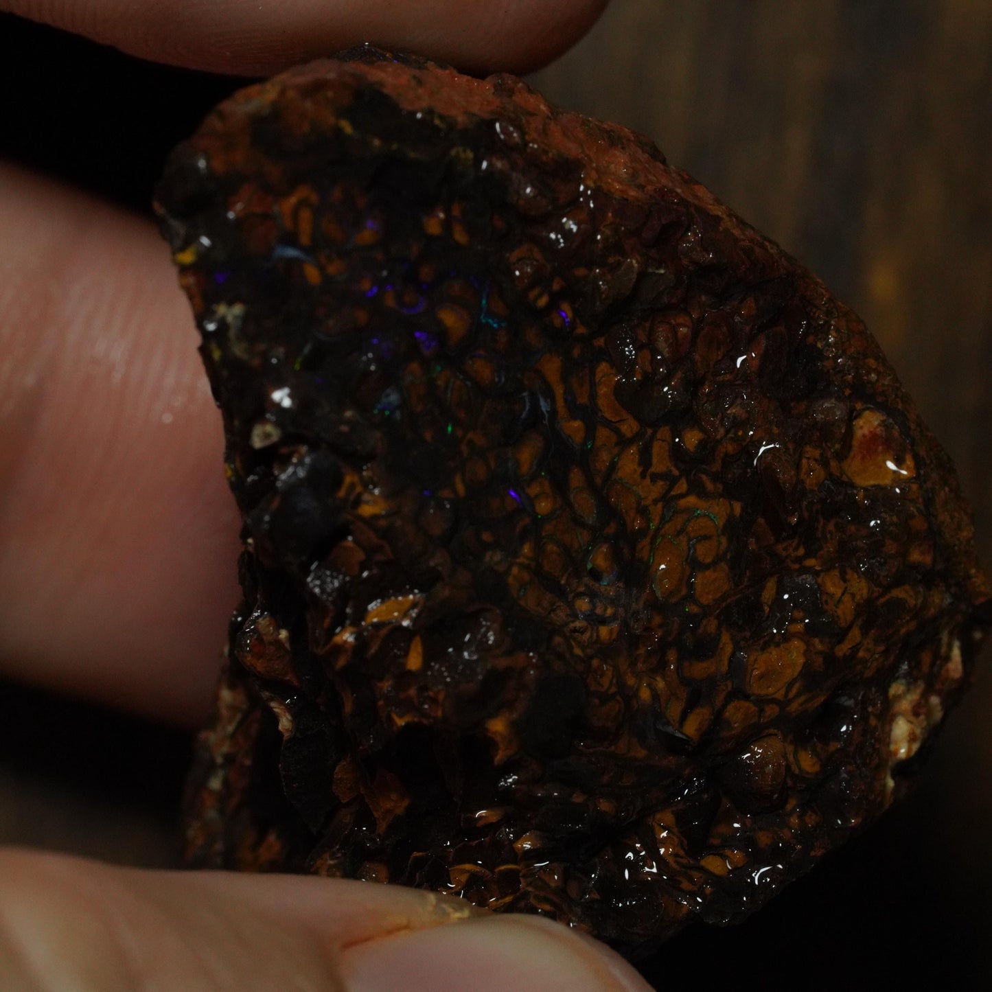 Boulder Opal