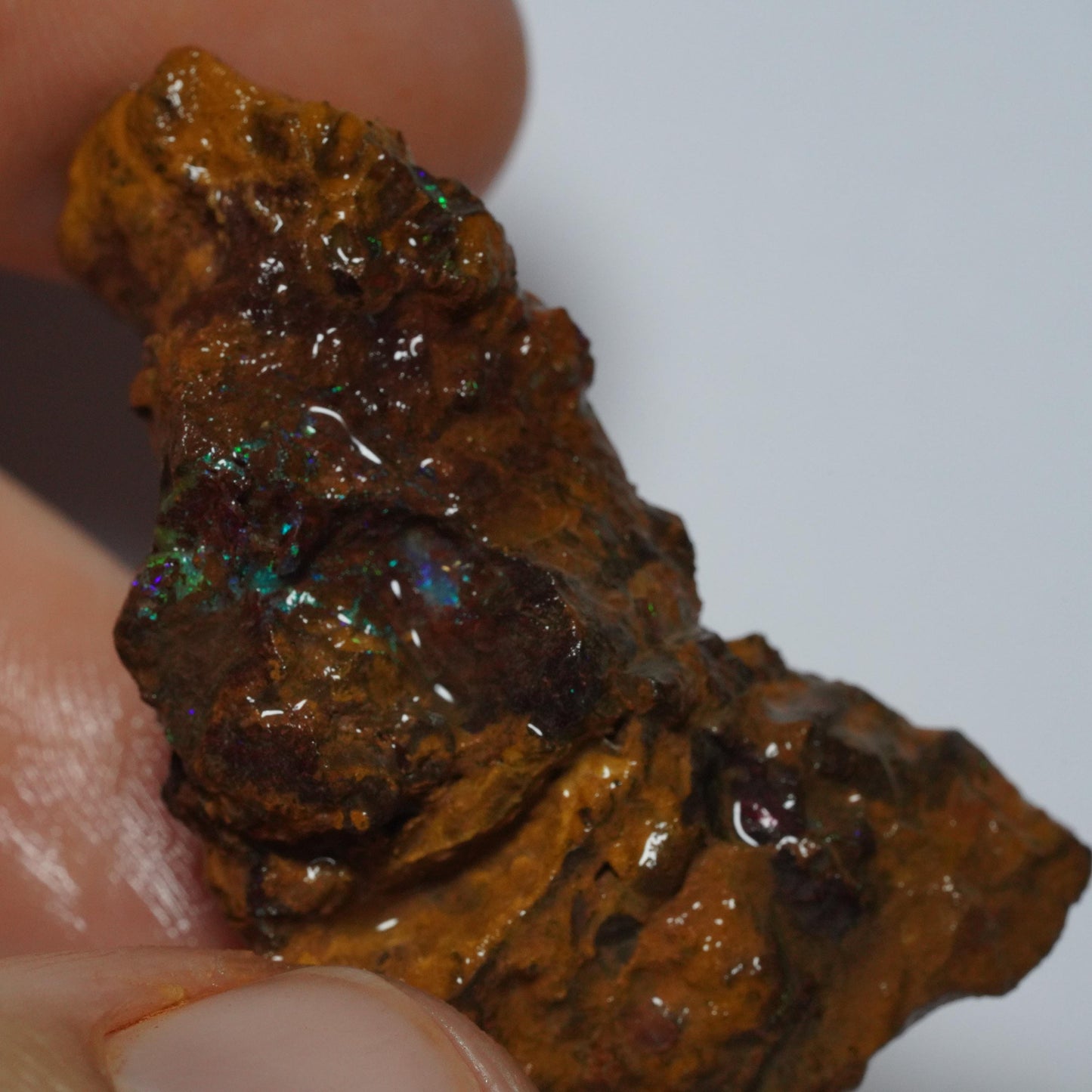 Boulder Opal