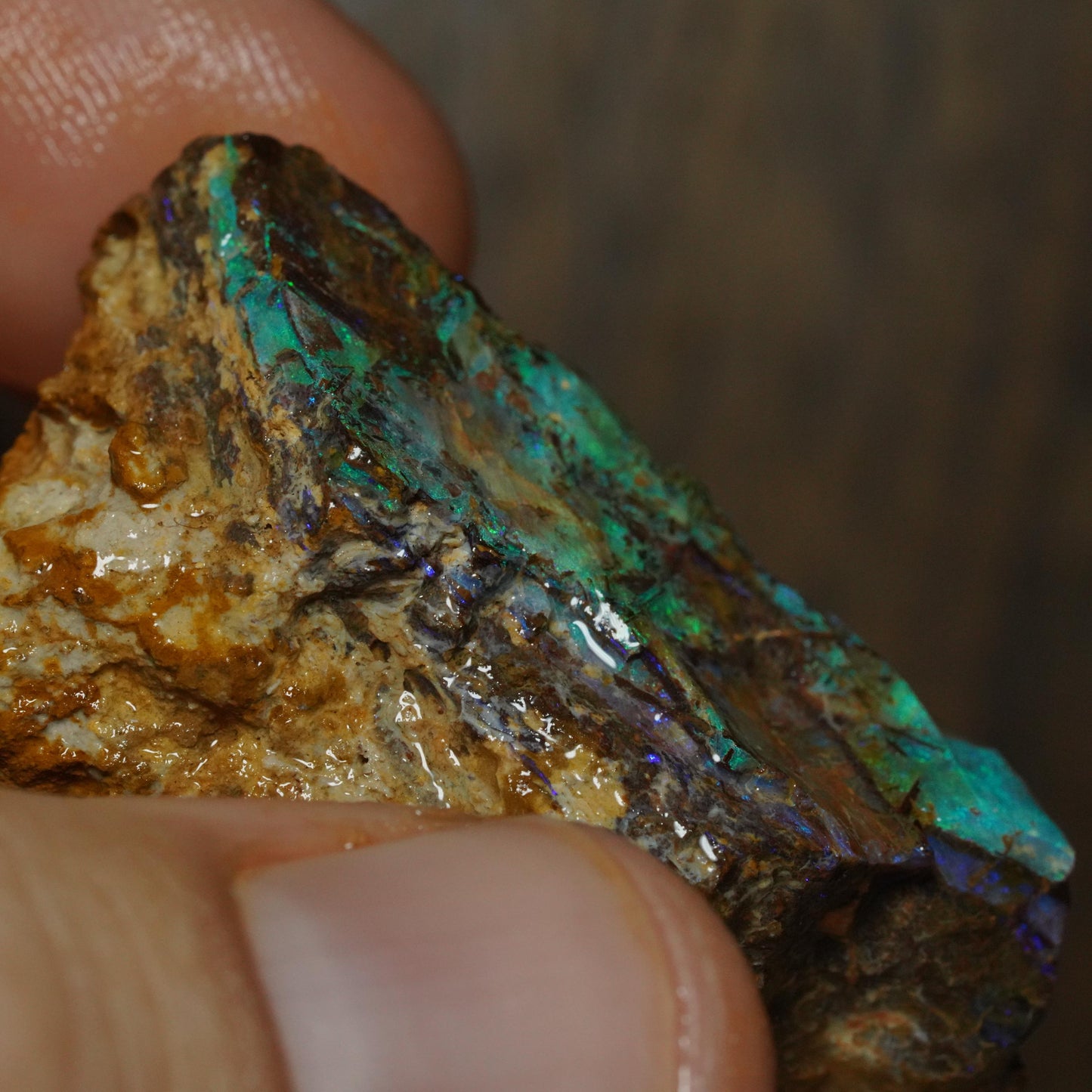 Boulder Opal