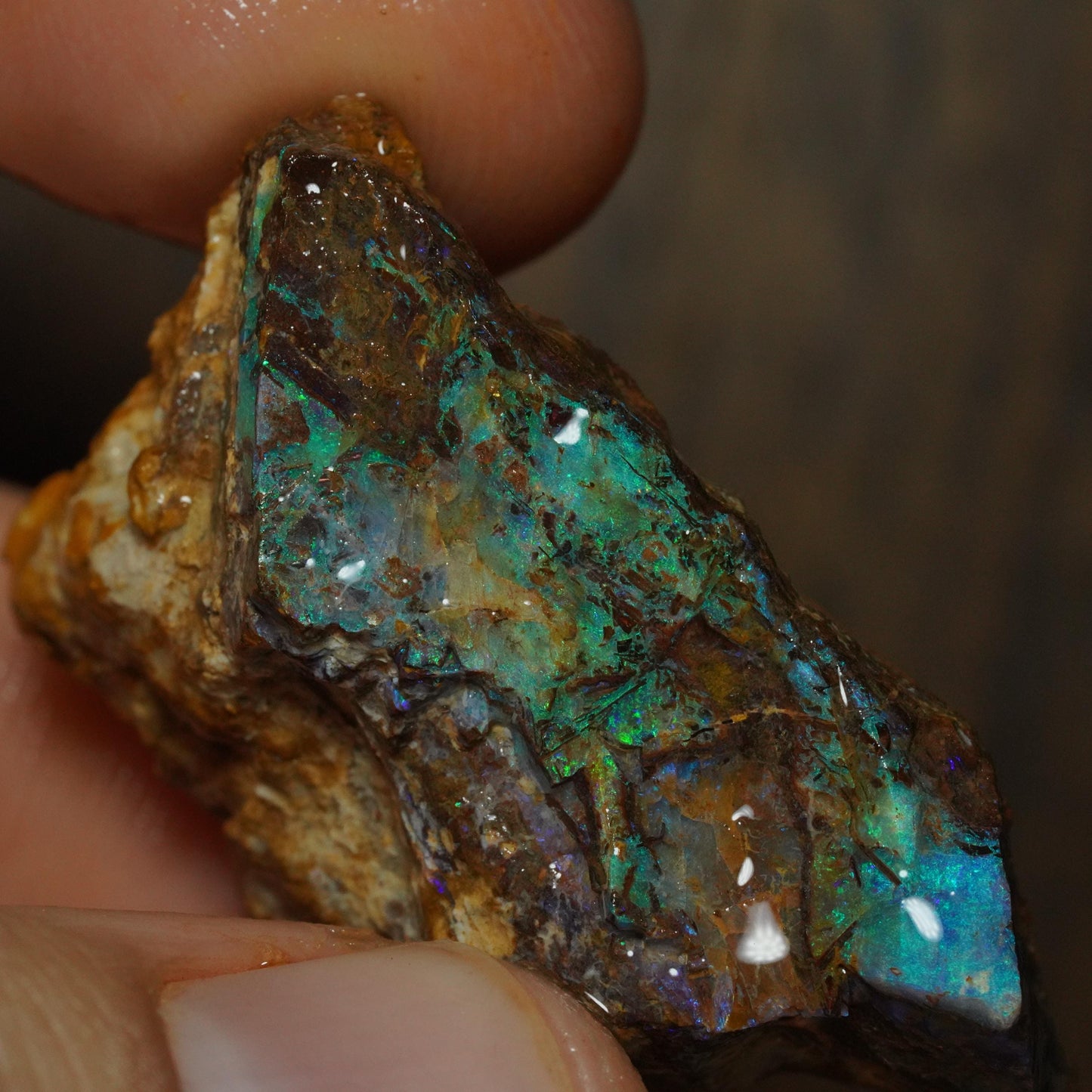 Boulder Opal
