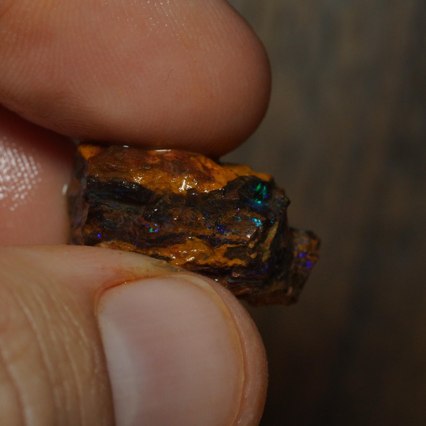 Boulder Opal