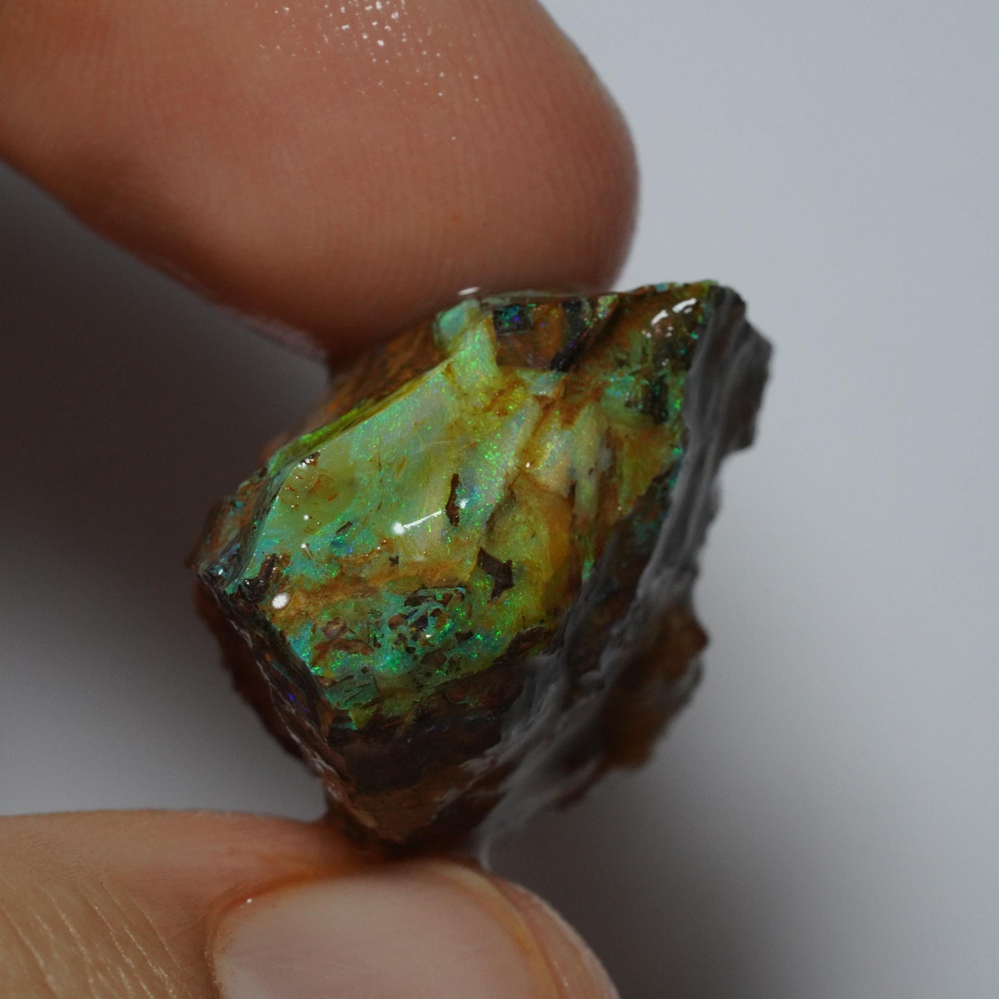 Boulder Opal