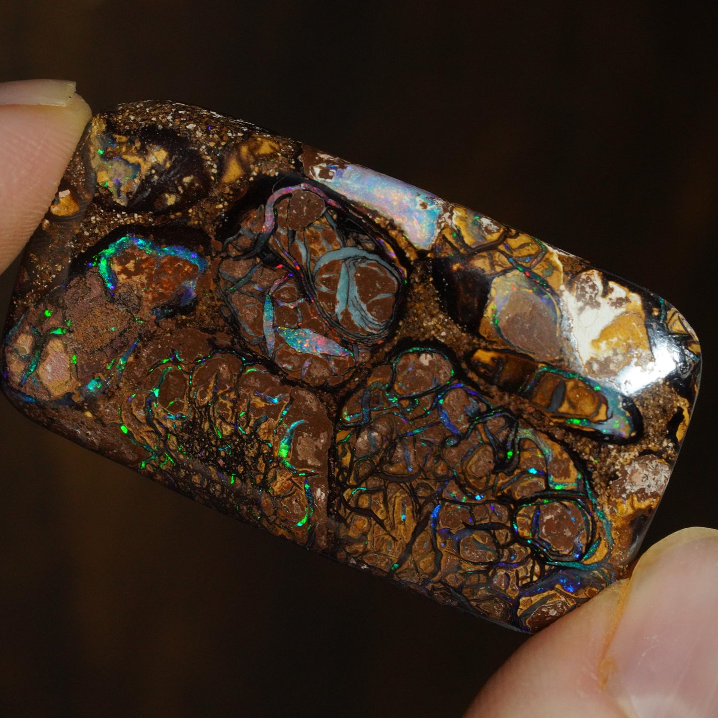 Boulder Opal Cut Stone