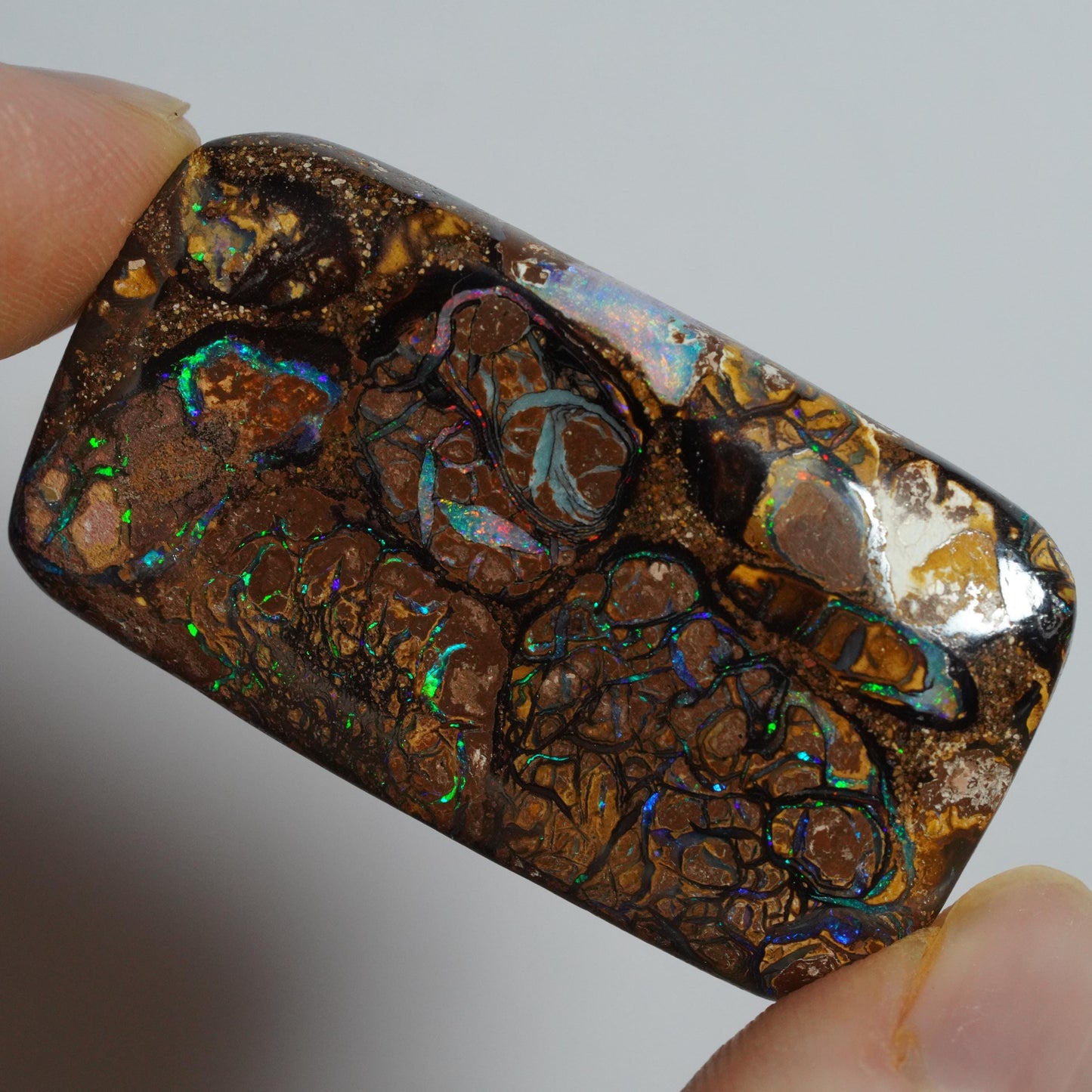 Boulder Opal Cut Stone