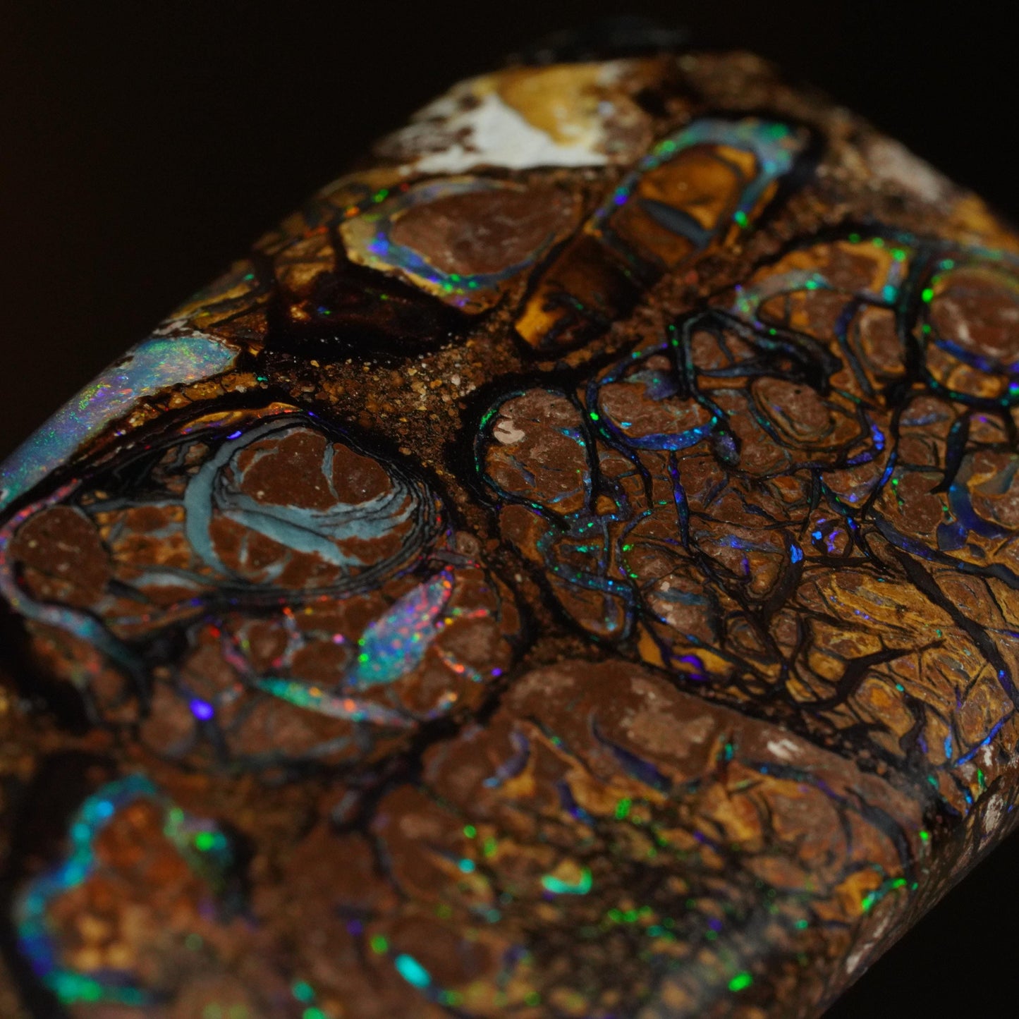 Boulder Opal Cut Stone
