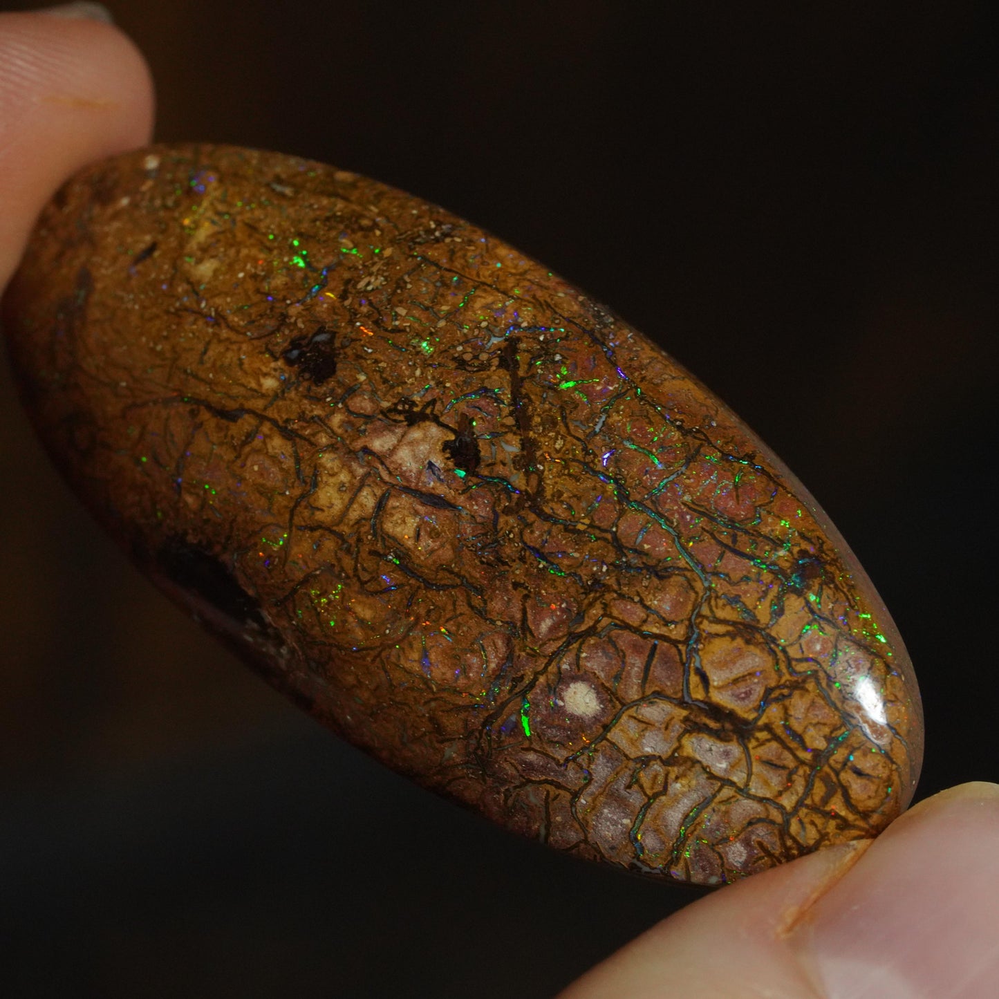 Boulder Opal Cut Stone