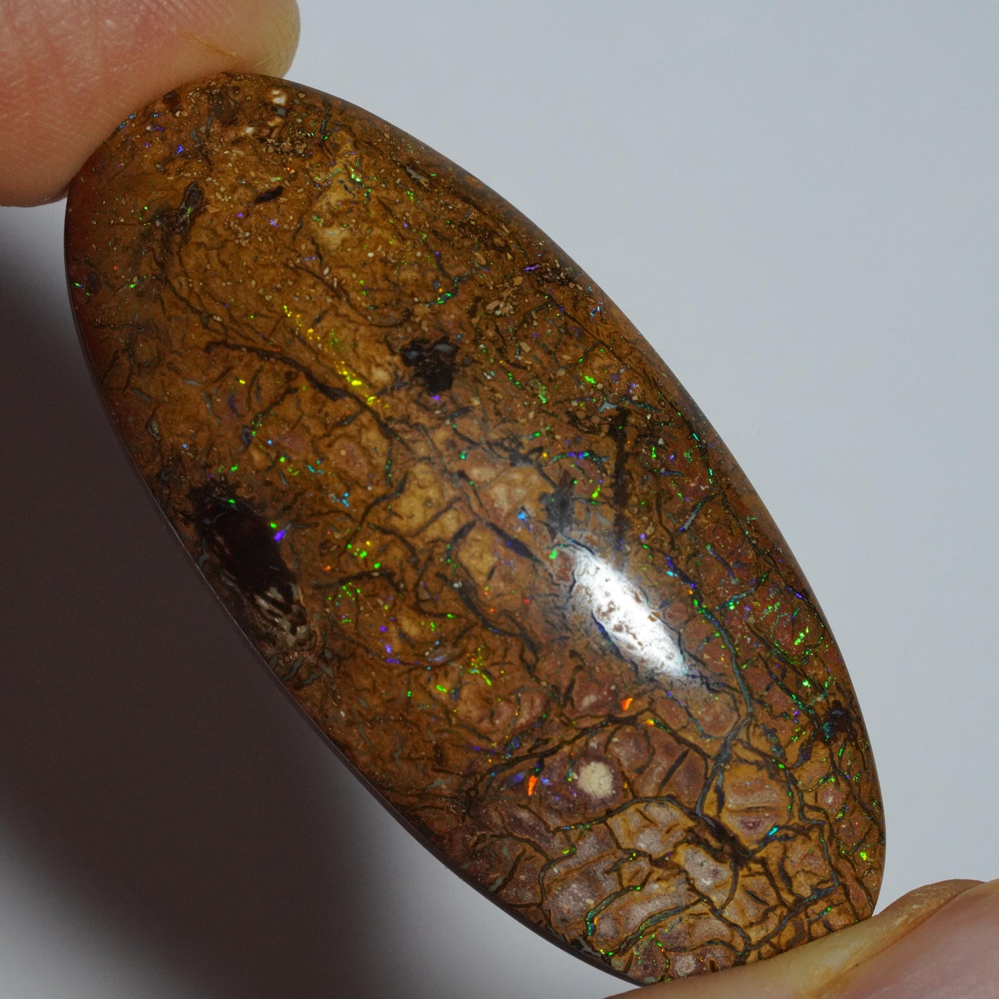 Boulder Opal Cut Stone