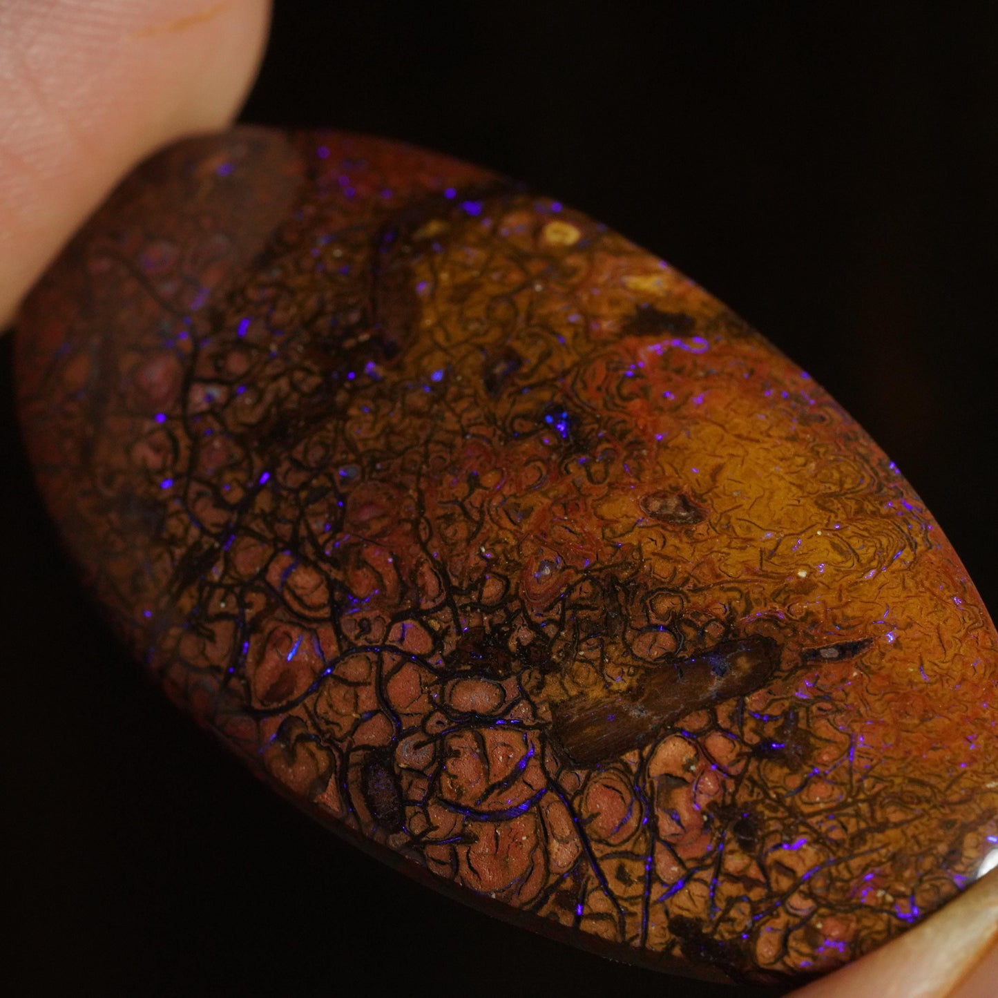 Boulder Opal Cut Stone