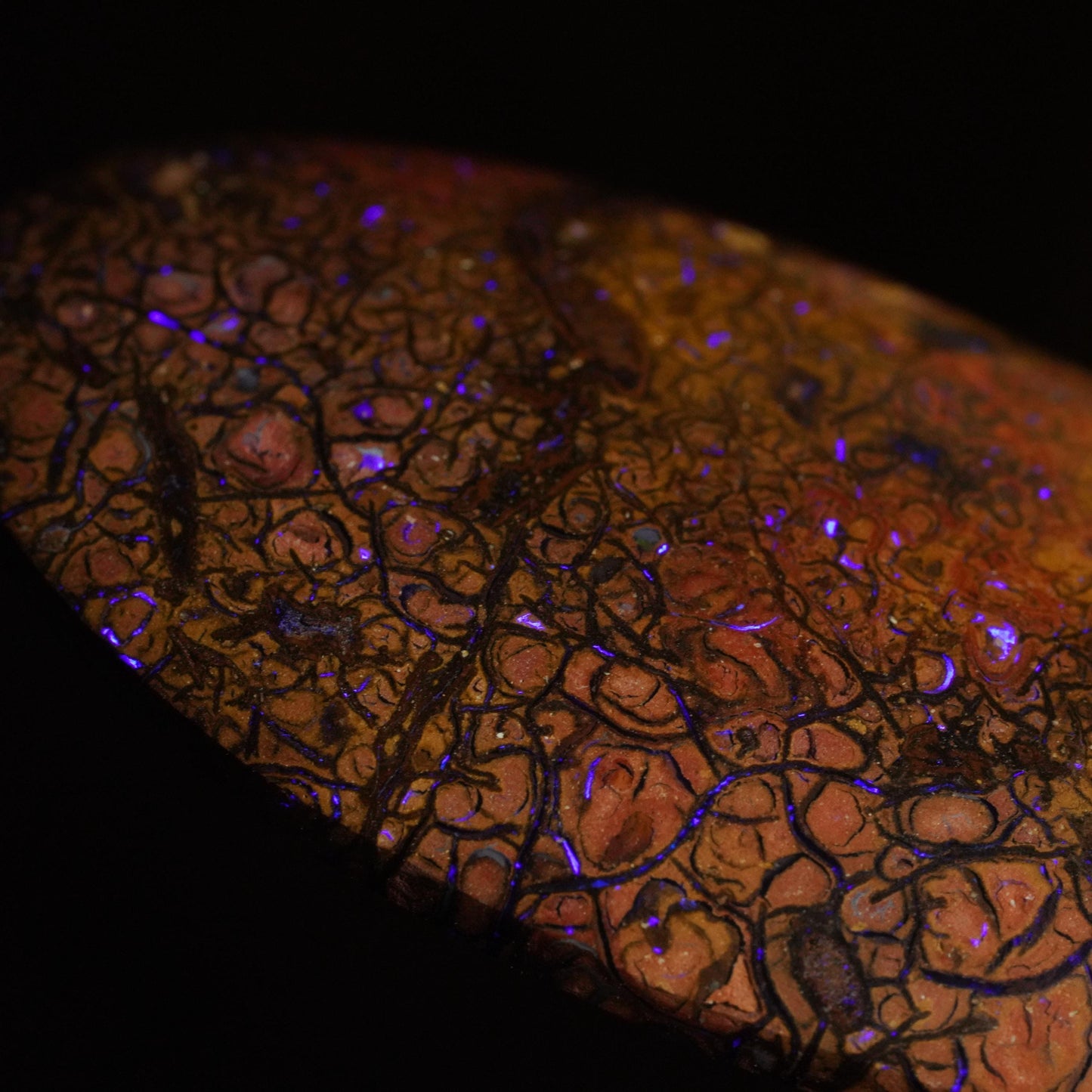 Boulder Opal Cut Stone