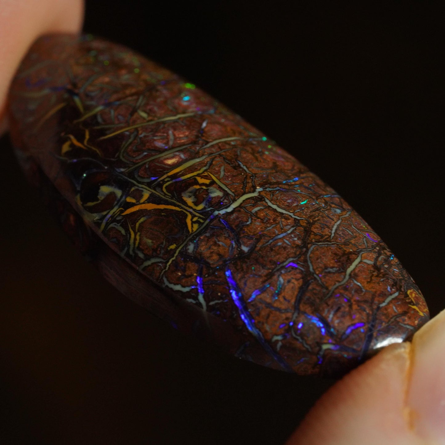 Boulder Opal Cut Stone