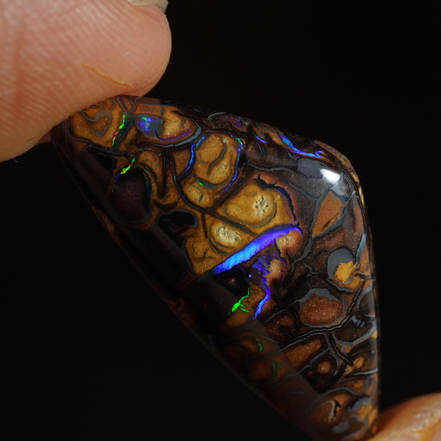 Boulder Opal Cut Stone