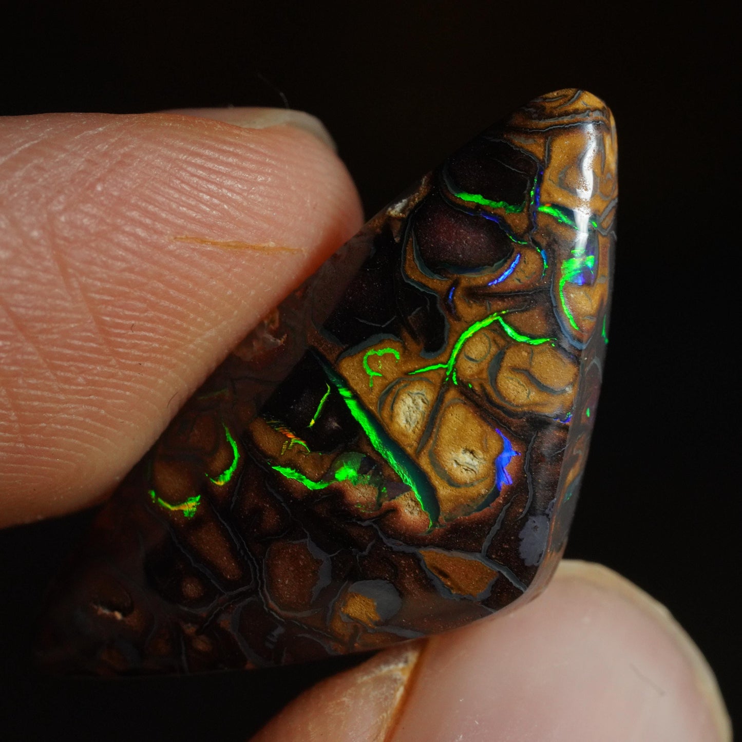 Boulder Opal Cut Stone