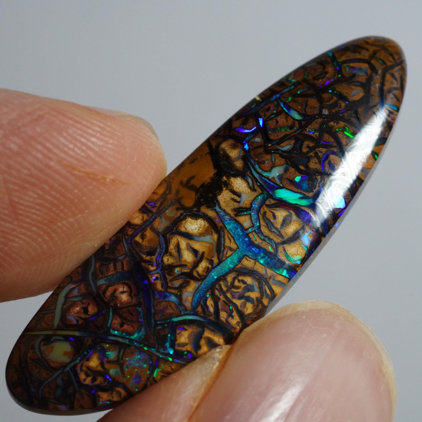 Boulder Opal Cut Stone
