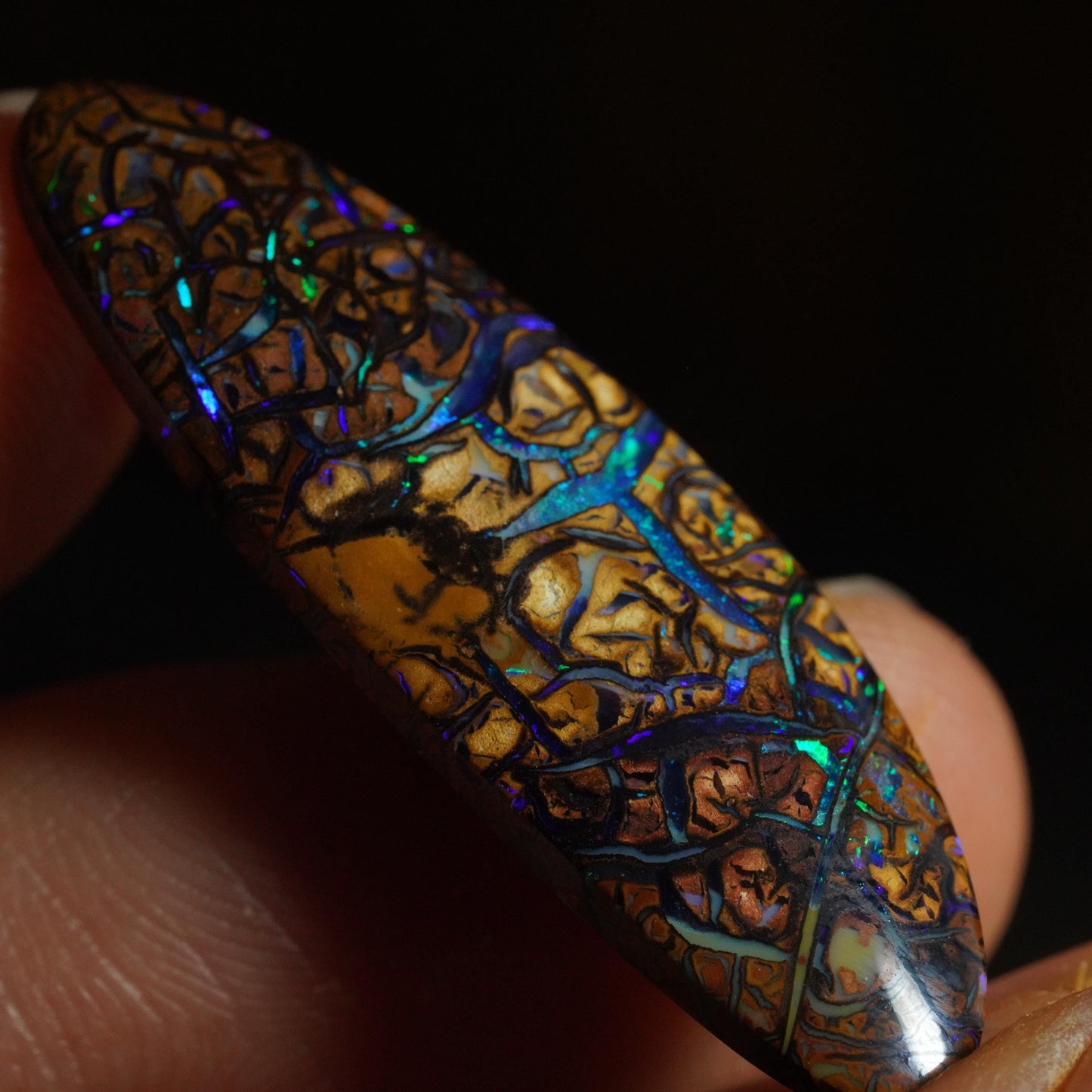 Boulder Opal Cut Stone