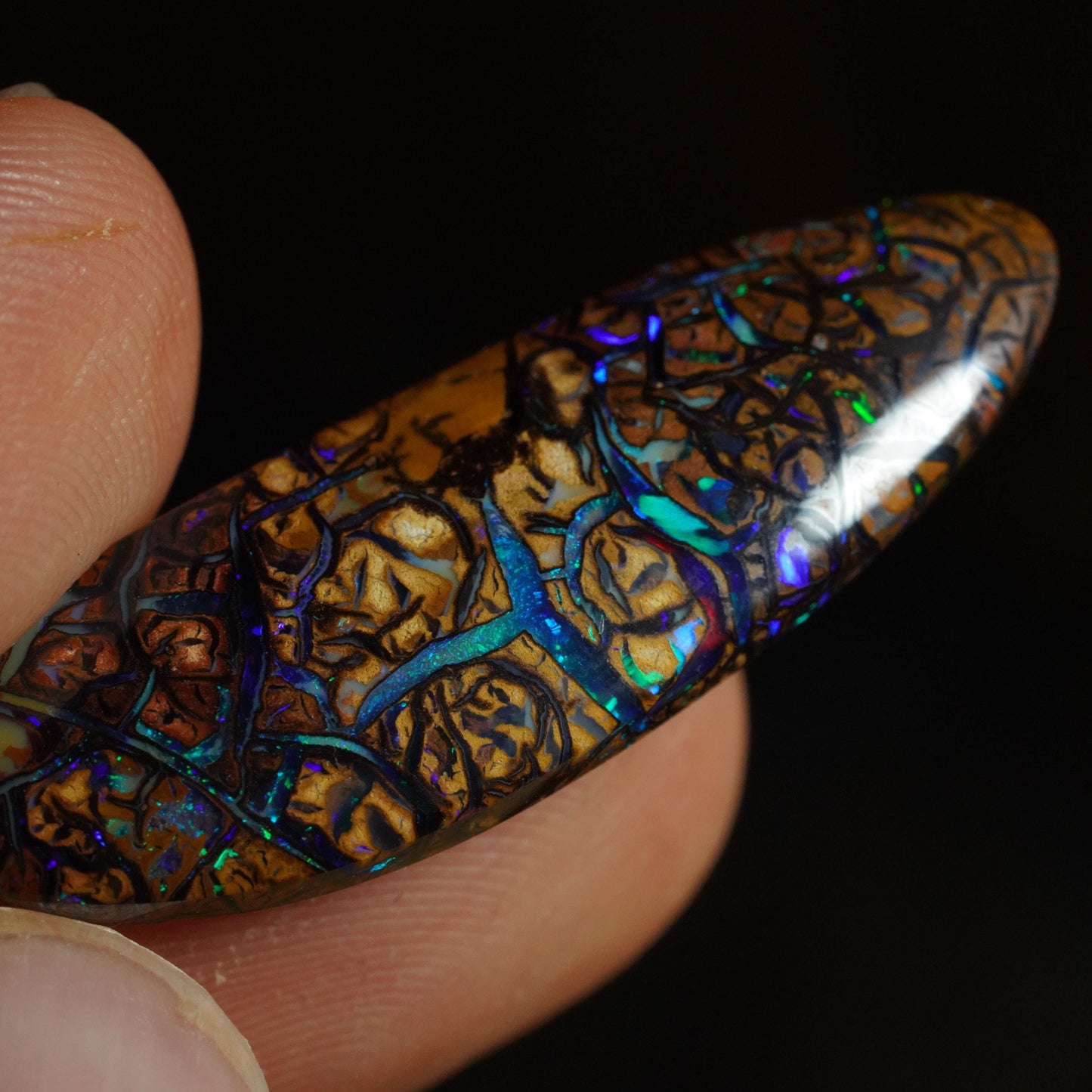Boulder Opal Cut Stone