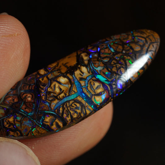 Boulder Opal Cut Stone