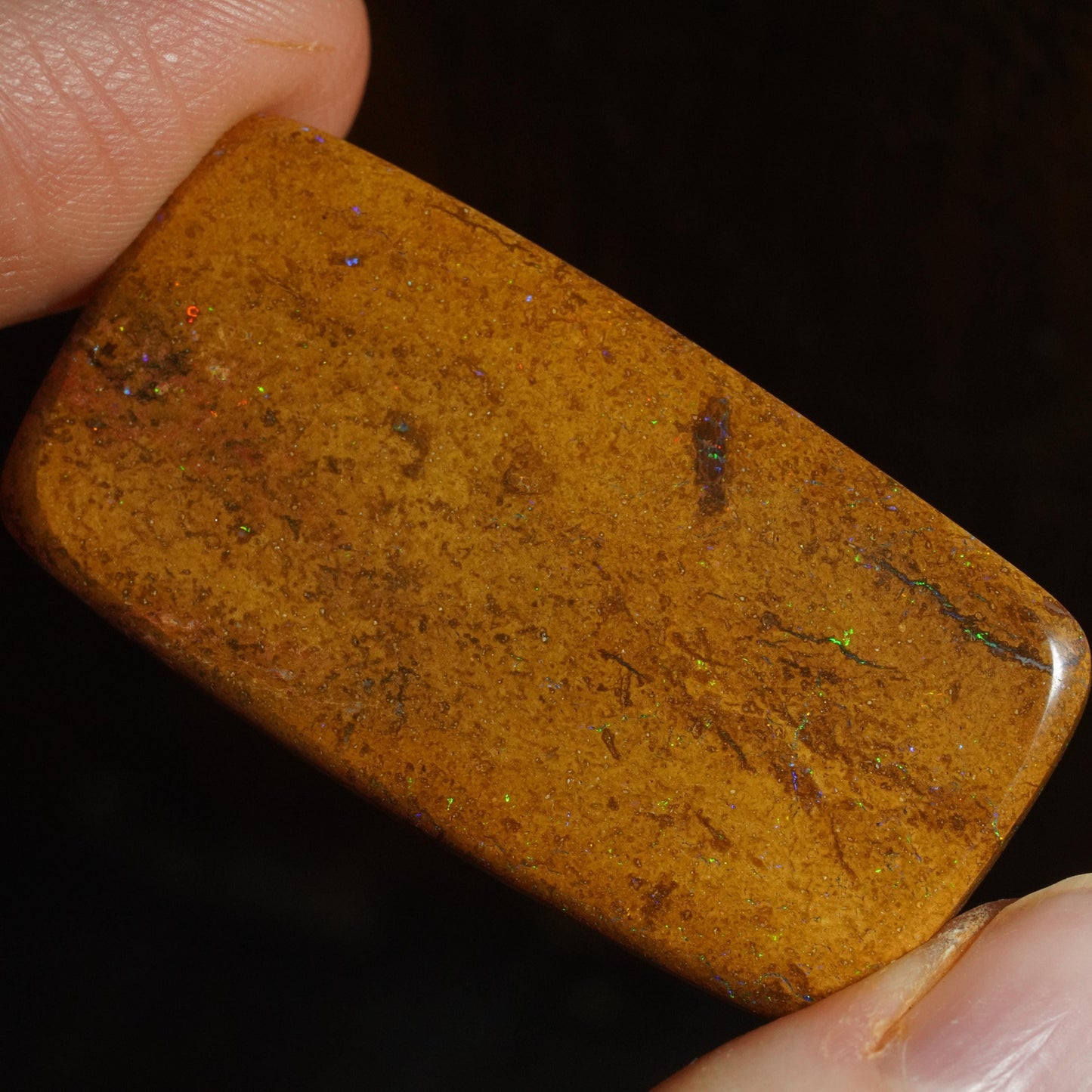 Boulder Opal Cut Stone