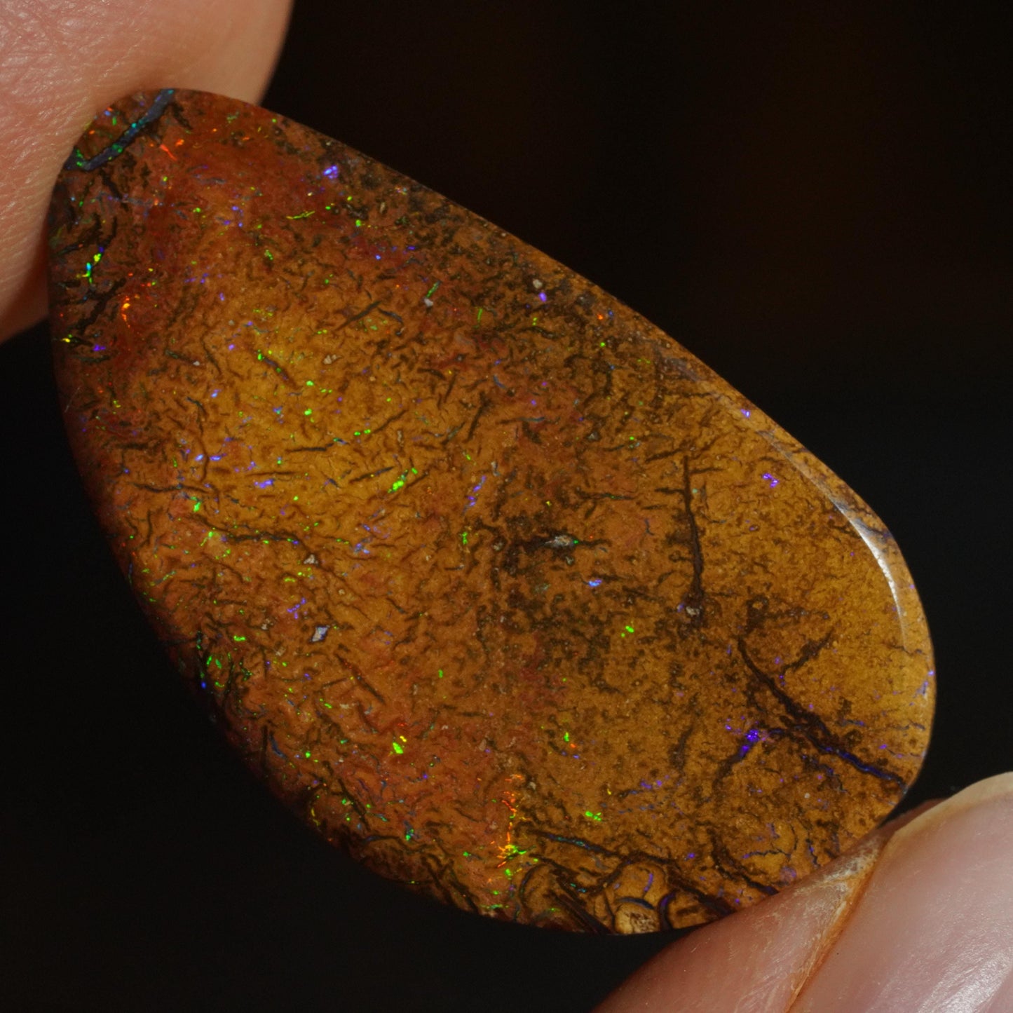 Boulder Opal Cut Stone