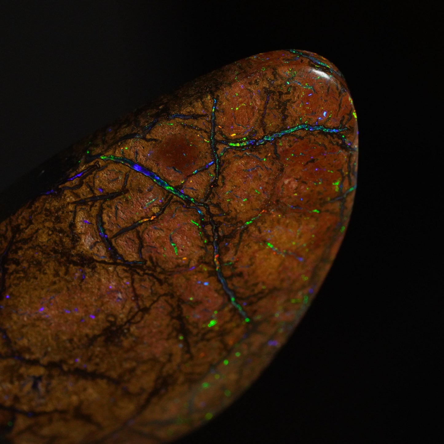Boulder Opal Cut Stone