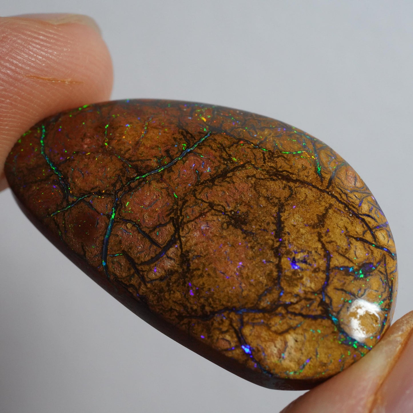 Boulder Opal Cut Stone