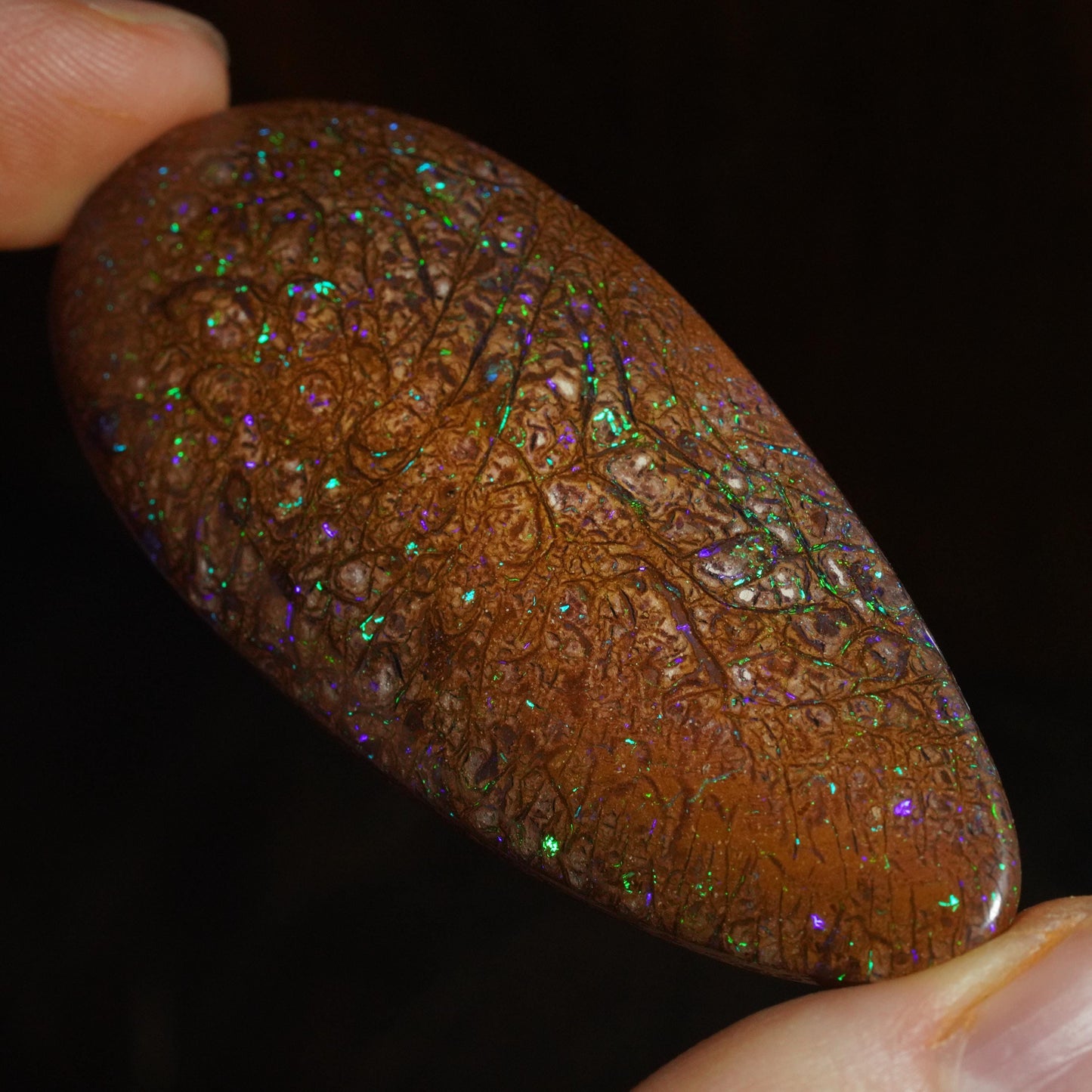 Boulder Opal Cut Stone