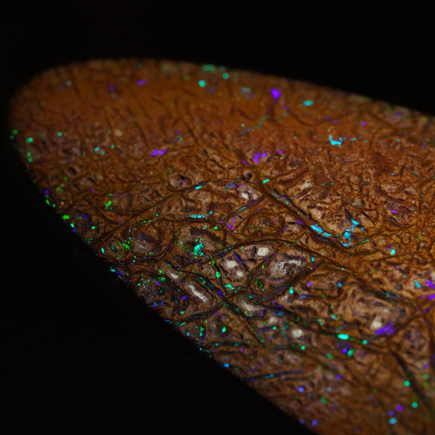 Boulder Opal Cut Stone