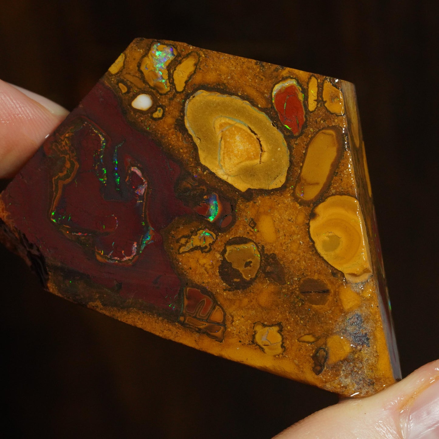 Boulder Opal Slab