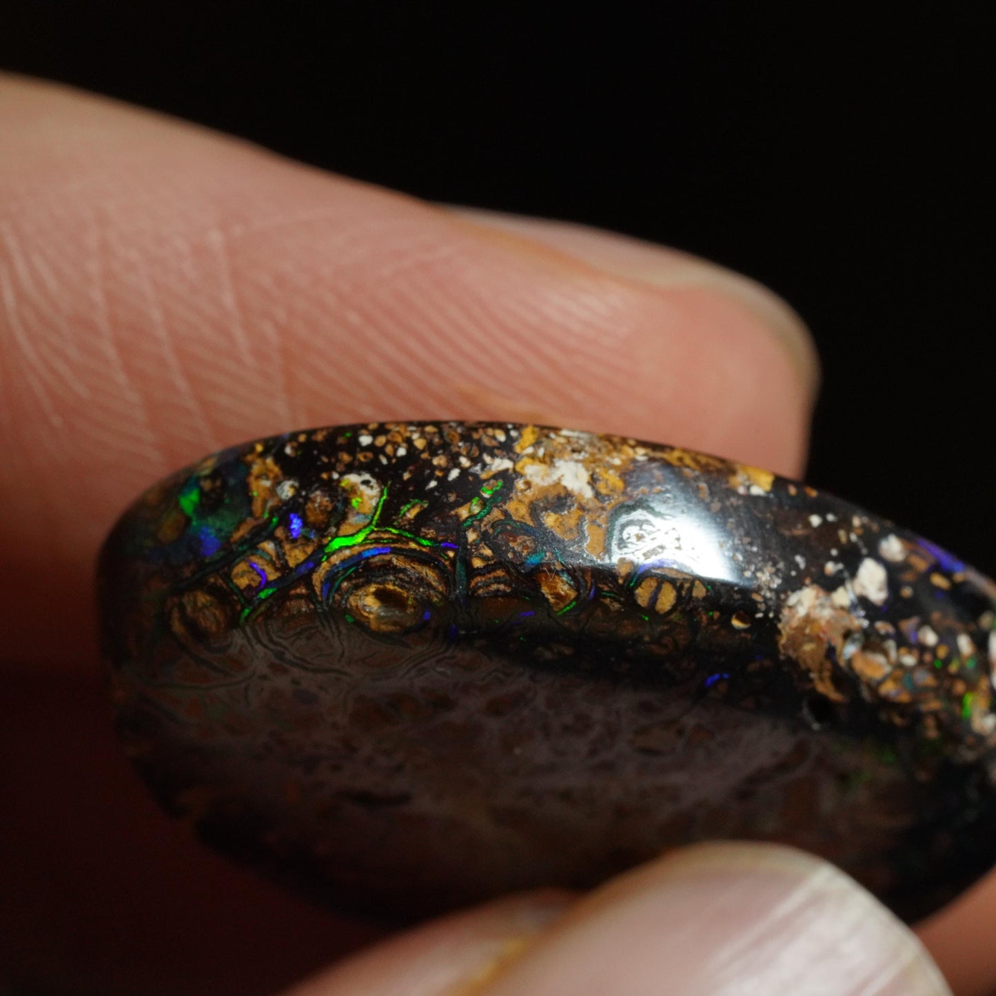 Boulder Opal Cut Stone