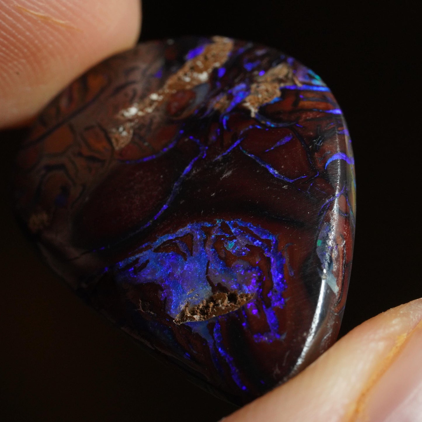 Boulder Opal Cut Stone