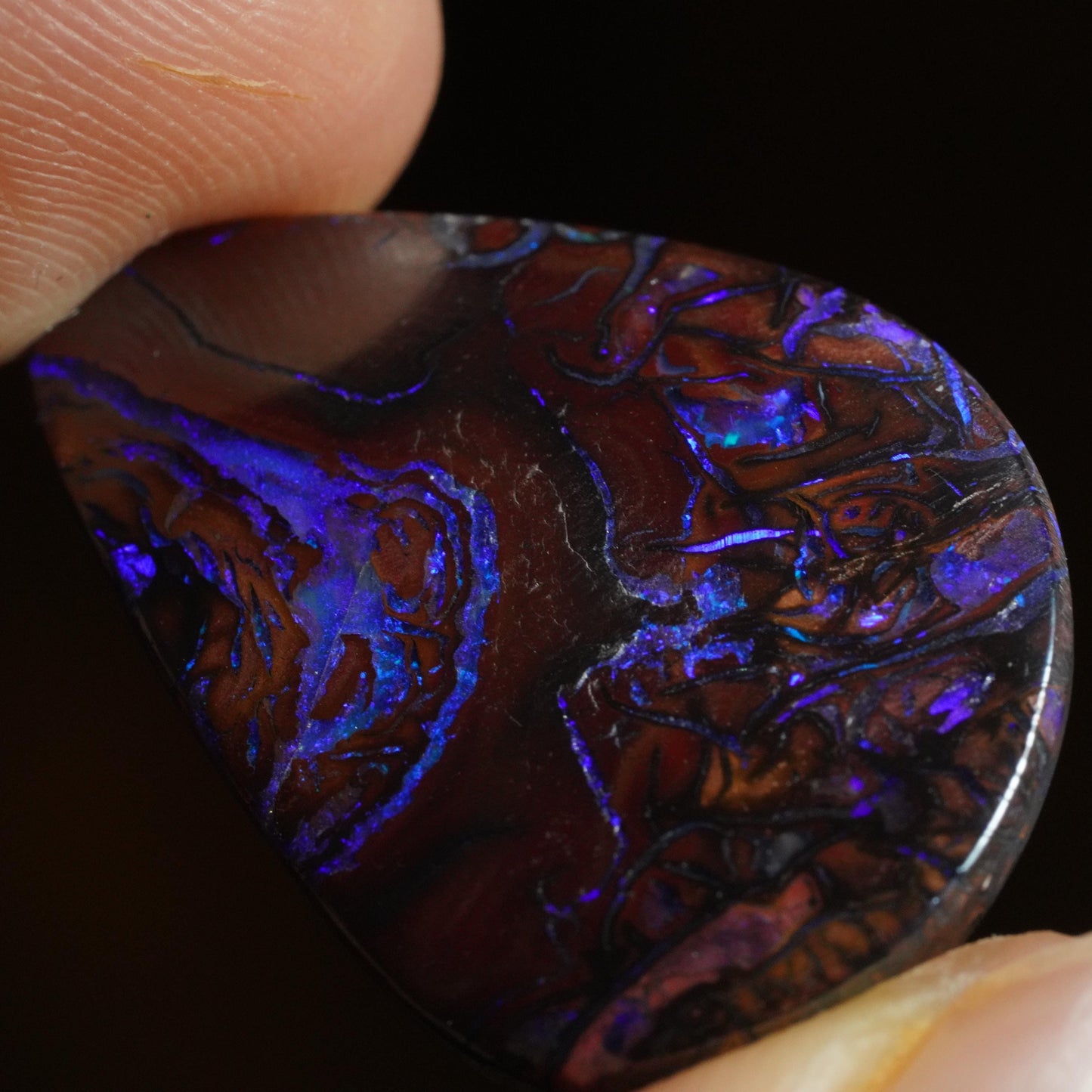 Boulder Opal Cut Stone