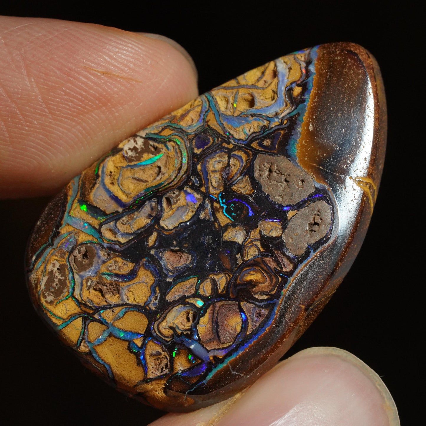 Boulder Opal Cut Stone