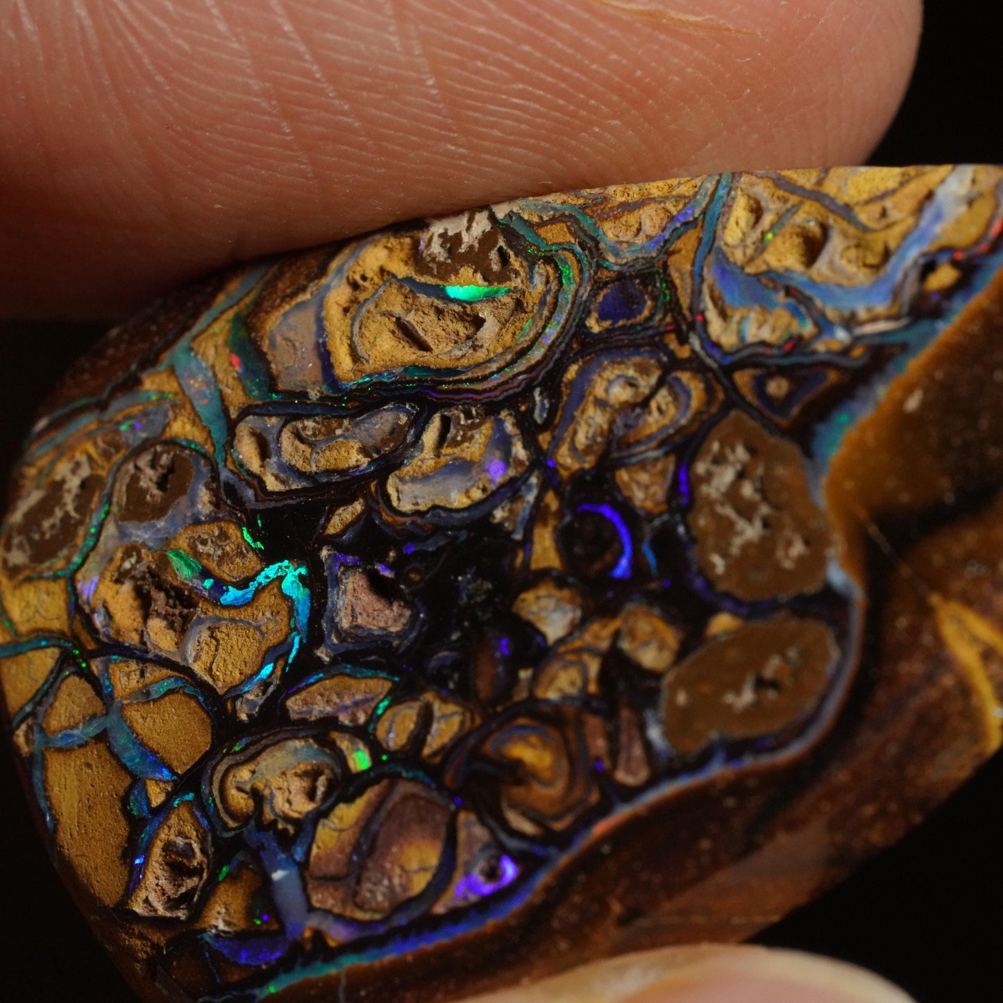 Boulder Opal Cut Stone
