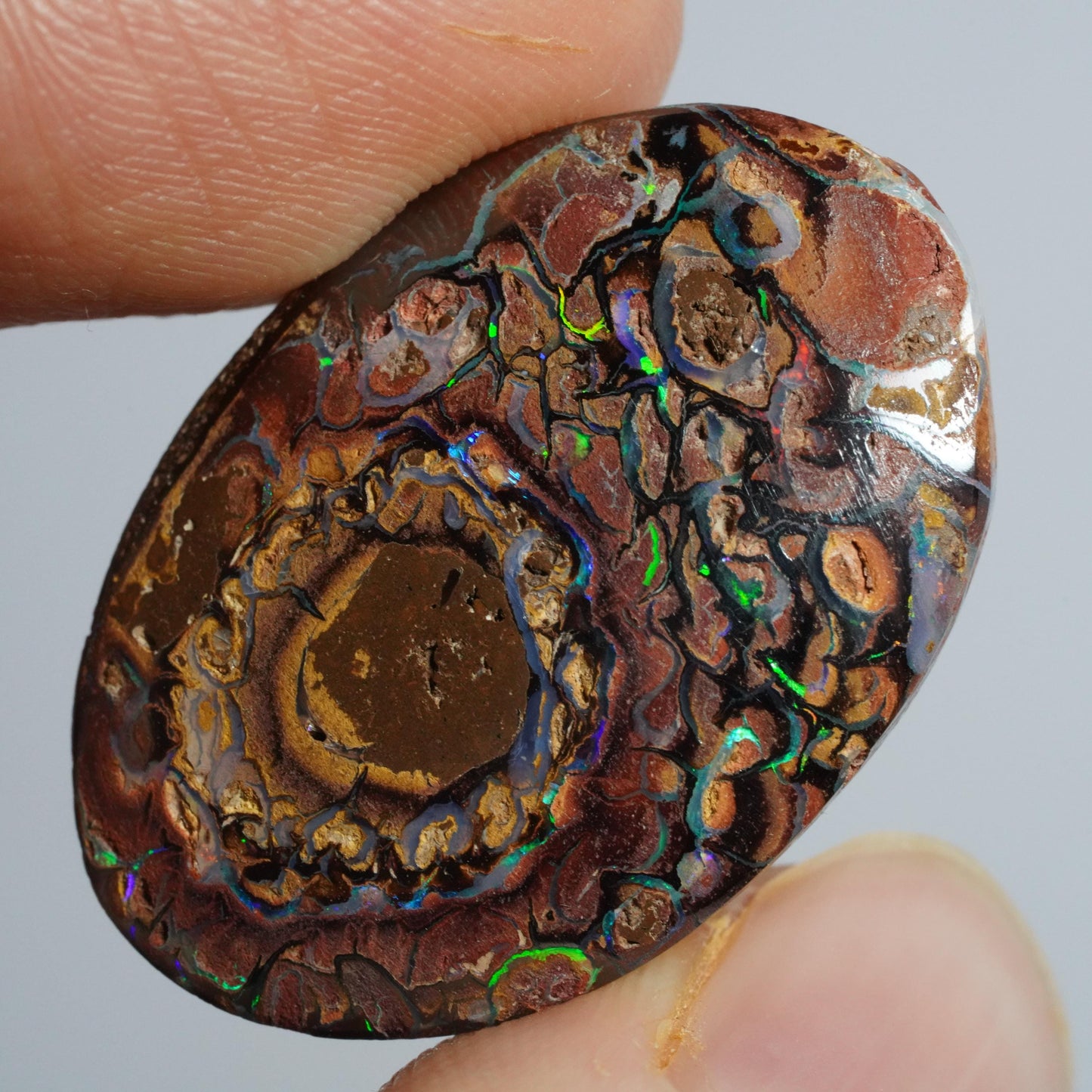 Boulder Opal Cut Stone