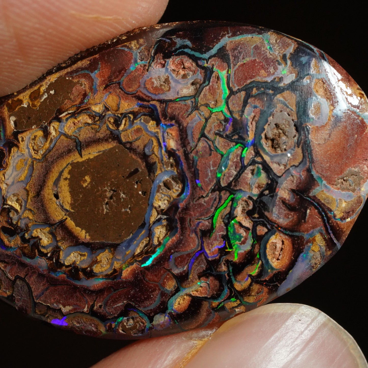 Boulder Opal Cut Stone